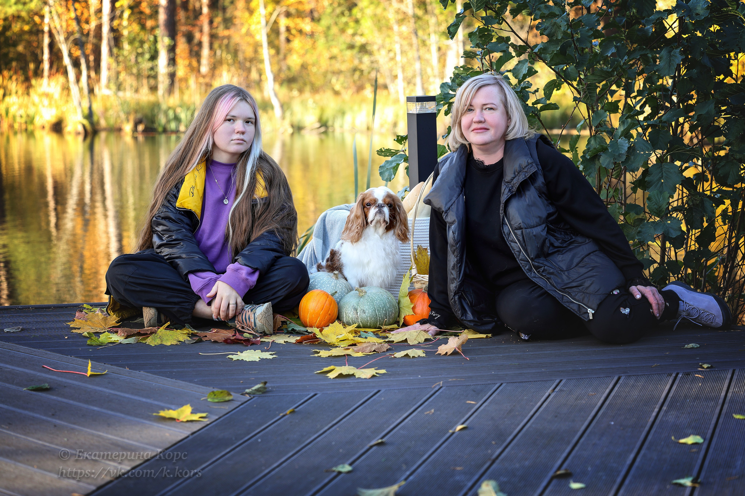 Собаки и люди. Главная