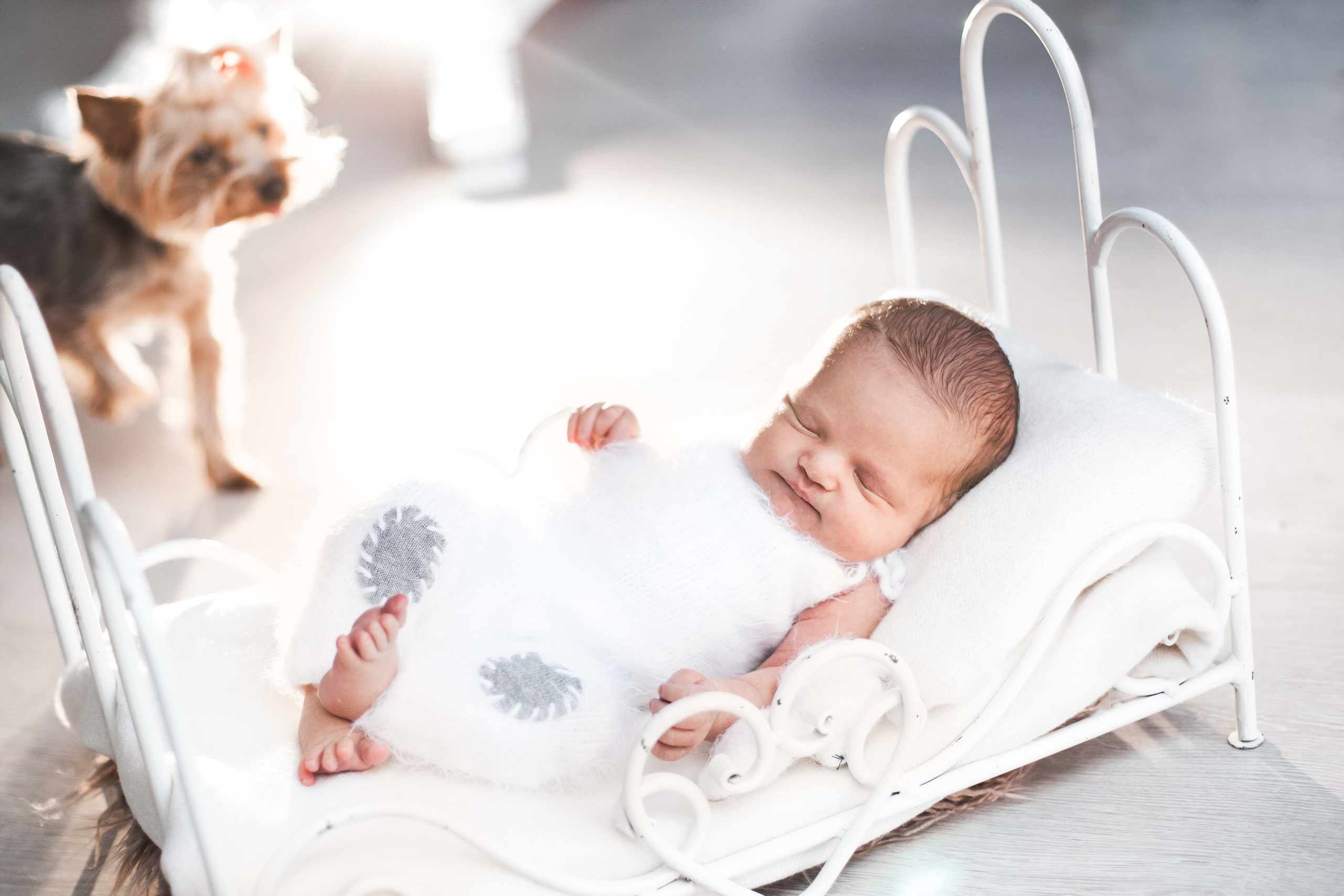 Фотограф новорожденных в Брянске. Фотограф новорожденных в Брянске Анжелика Прохоренкова