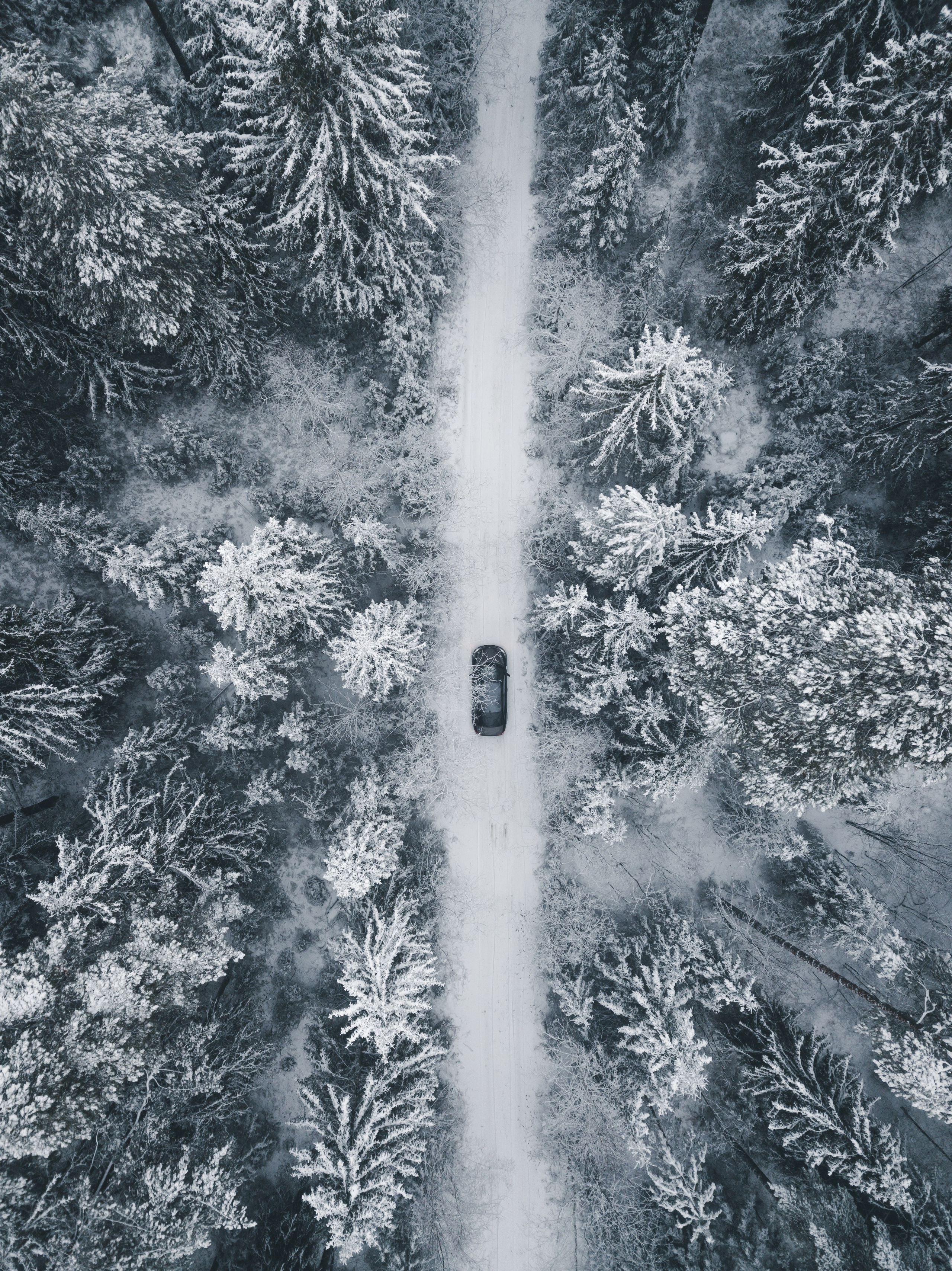 ПРИРОДА. Фотограф Александр Бормотин