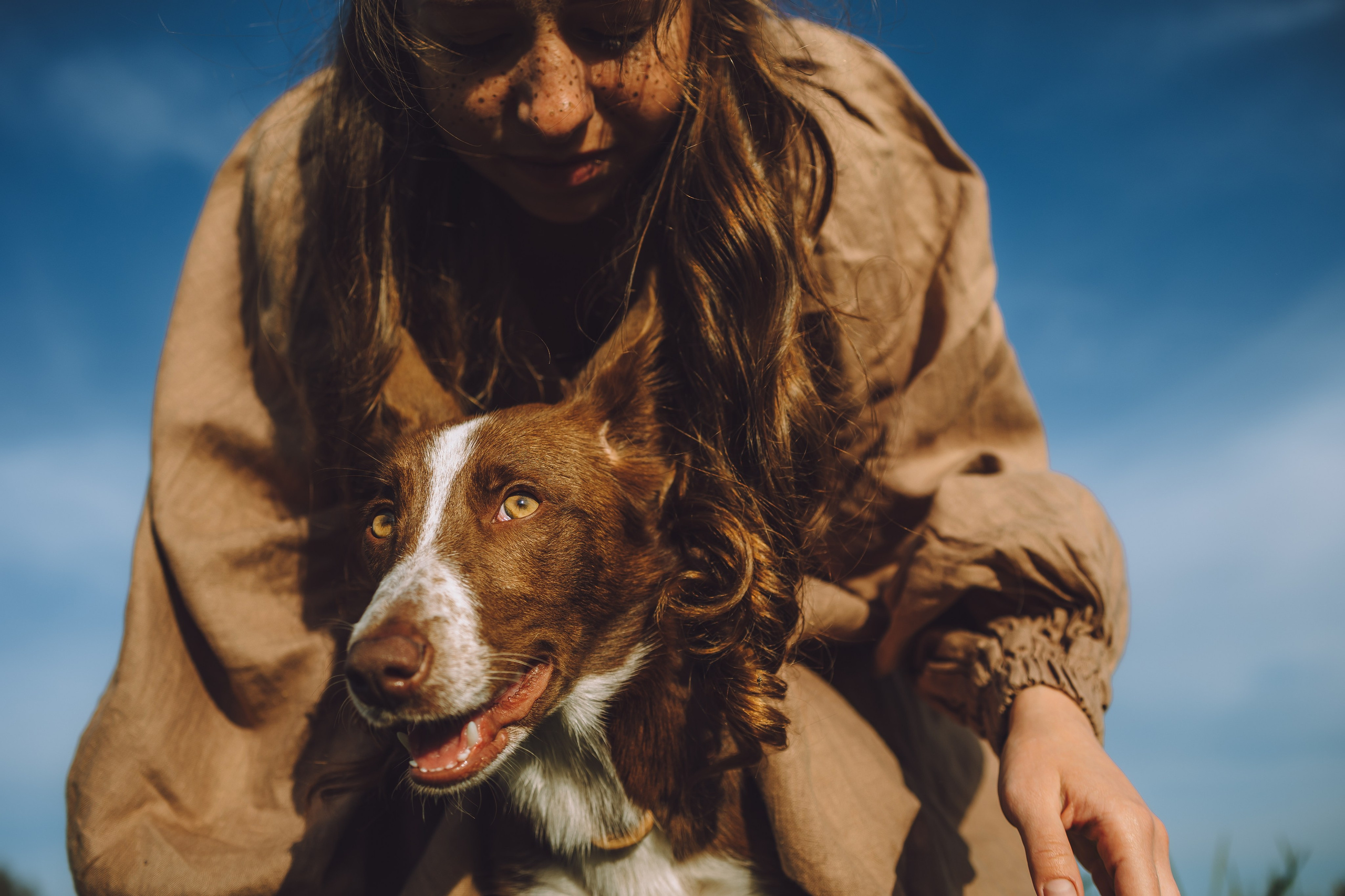 Выездной дог-тренинг от школы «Шерсть имею», Тованово