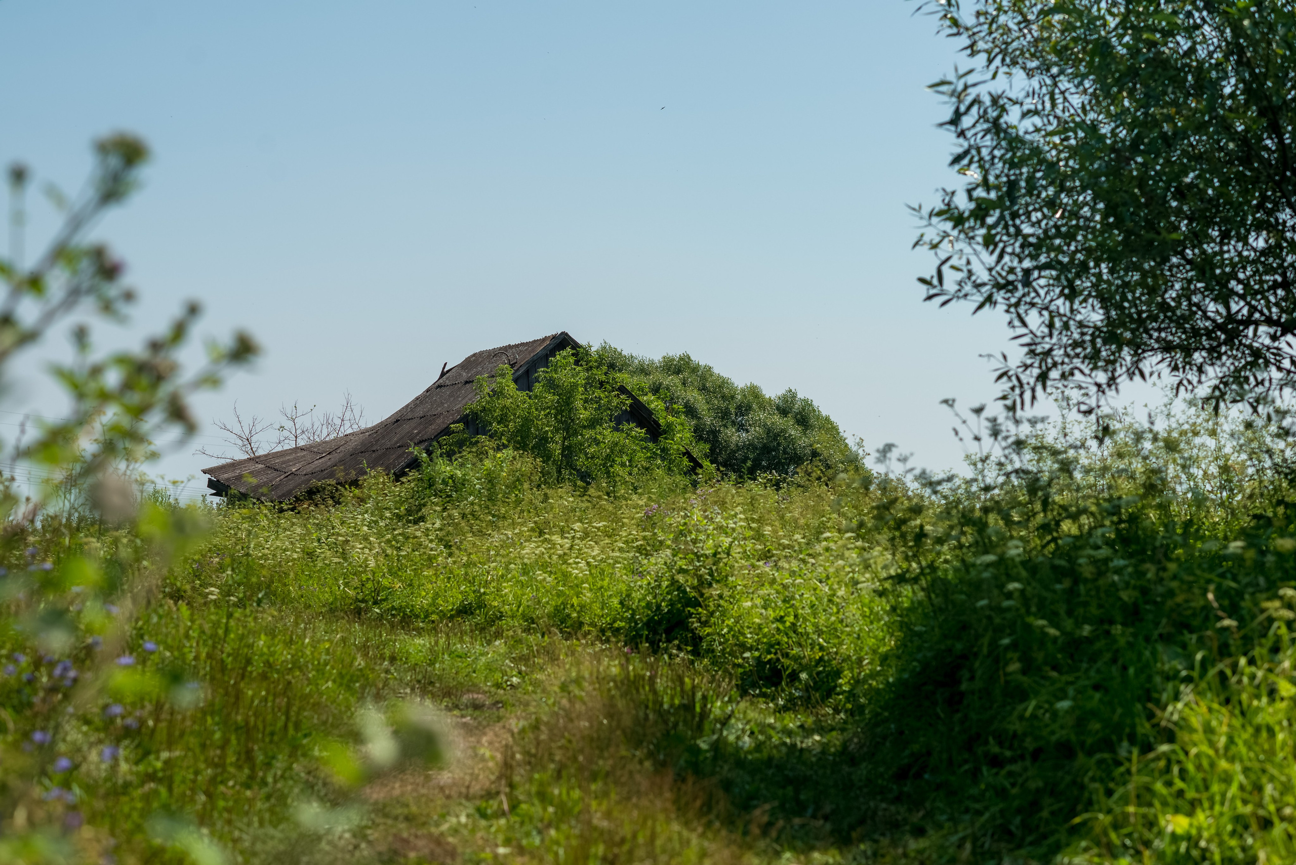 Деревня Барышье. Женский фотограф Крещение Венчание Москва Брянск