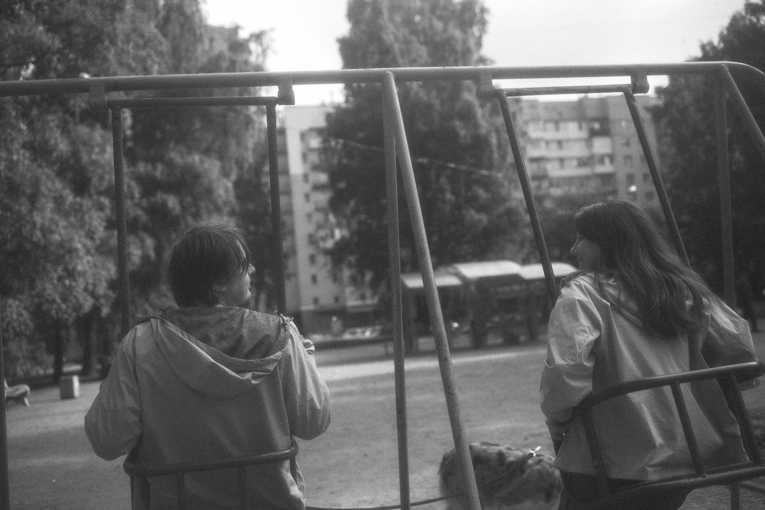 Хлоя, Алёна и Дима. Фотограф анималист Анастасия Пикей