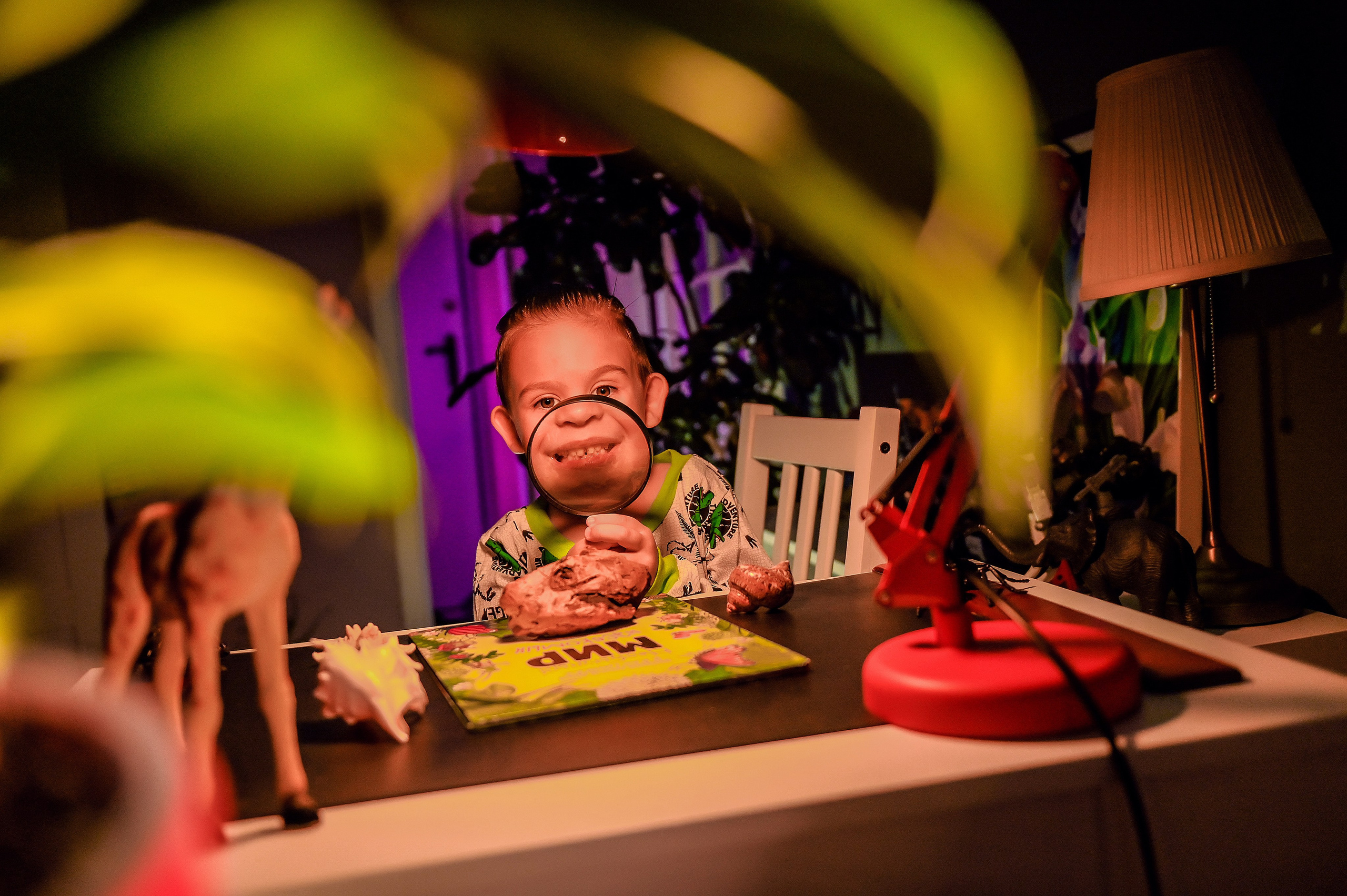 Детская домашняя кабинет натуралиста. Свадебный, семейный, детский, контент фотограф в Омске Максим Ильин