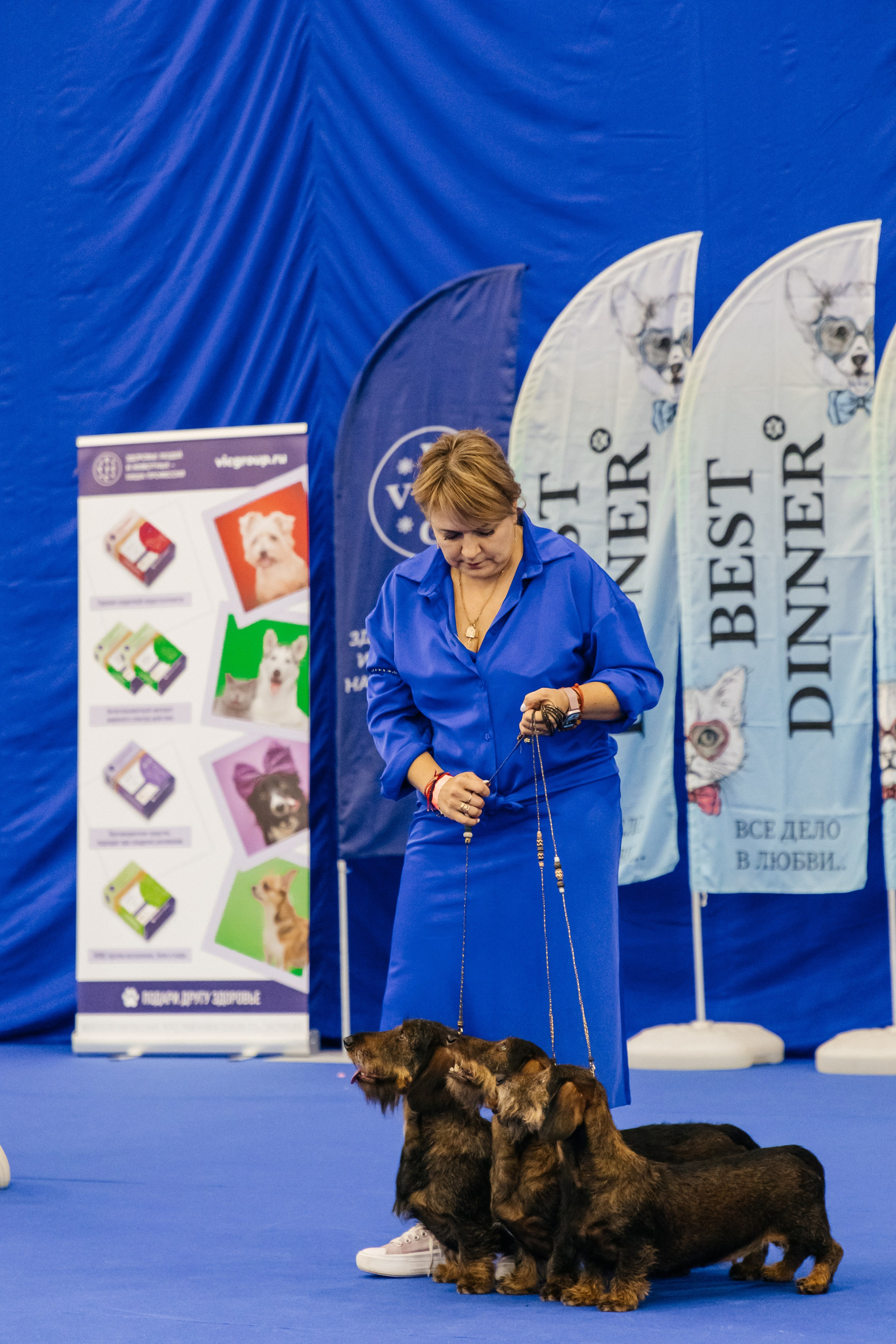 Зоошоу. Экспофорум 31.08. Выставка домашних животных. Семейный фотограф в Санкт-Петербурге Ева Маркова
