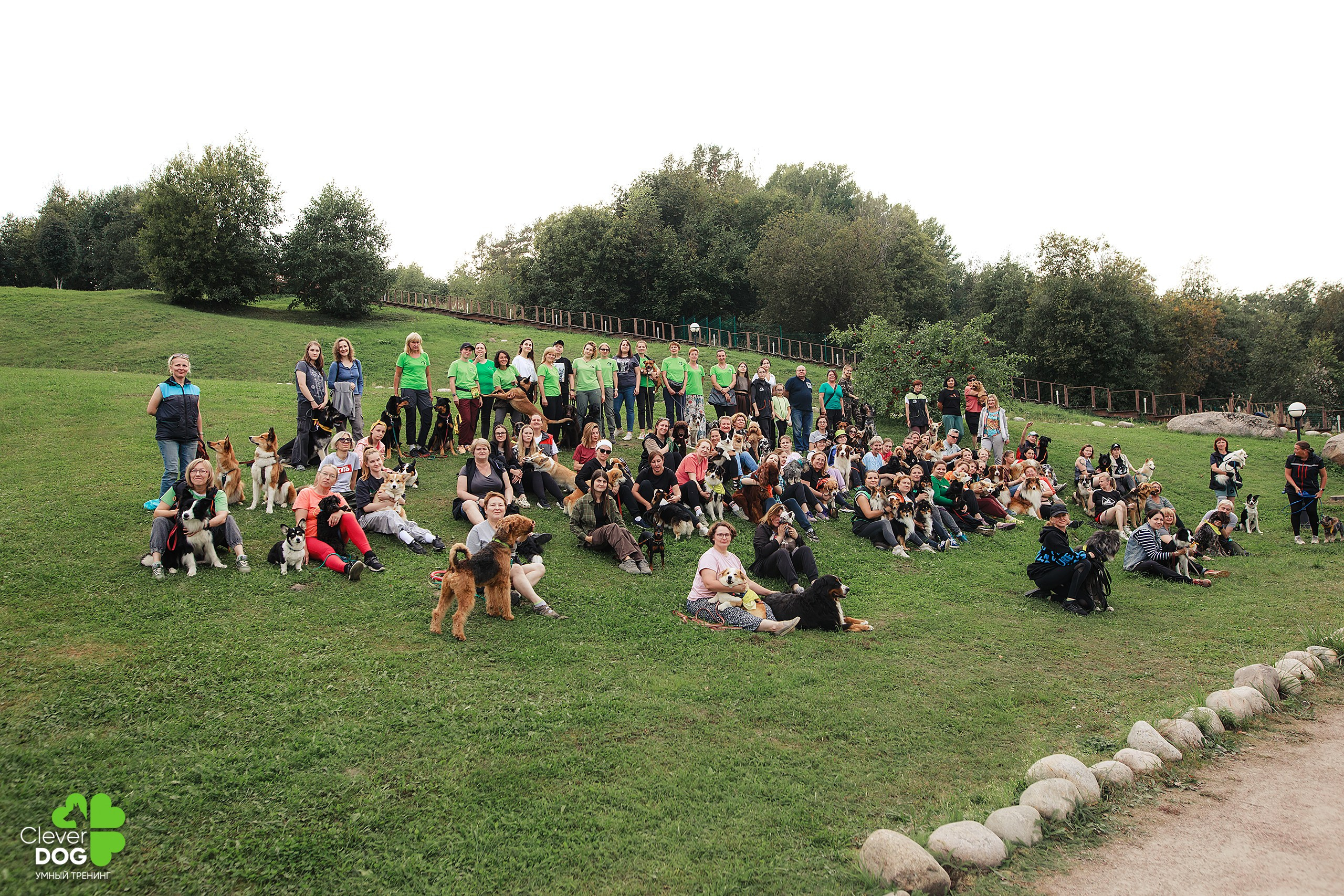 Кинологический лагерь CleverDog, 2024. Фотограф-анималист Mary Mart — Москва, Питер