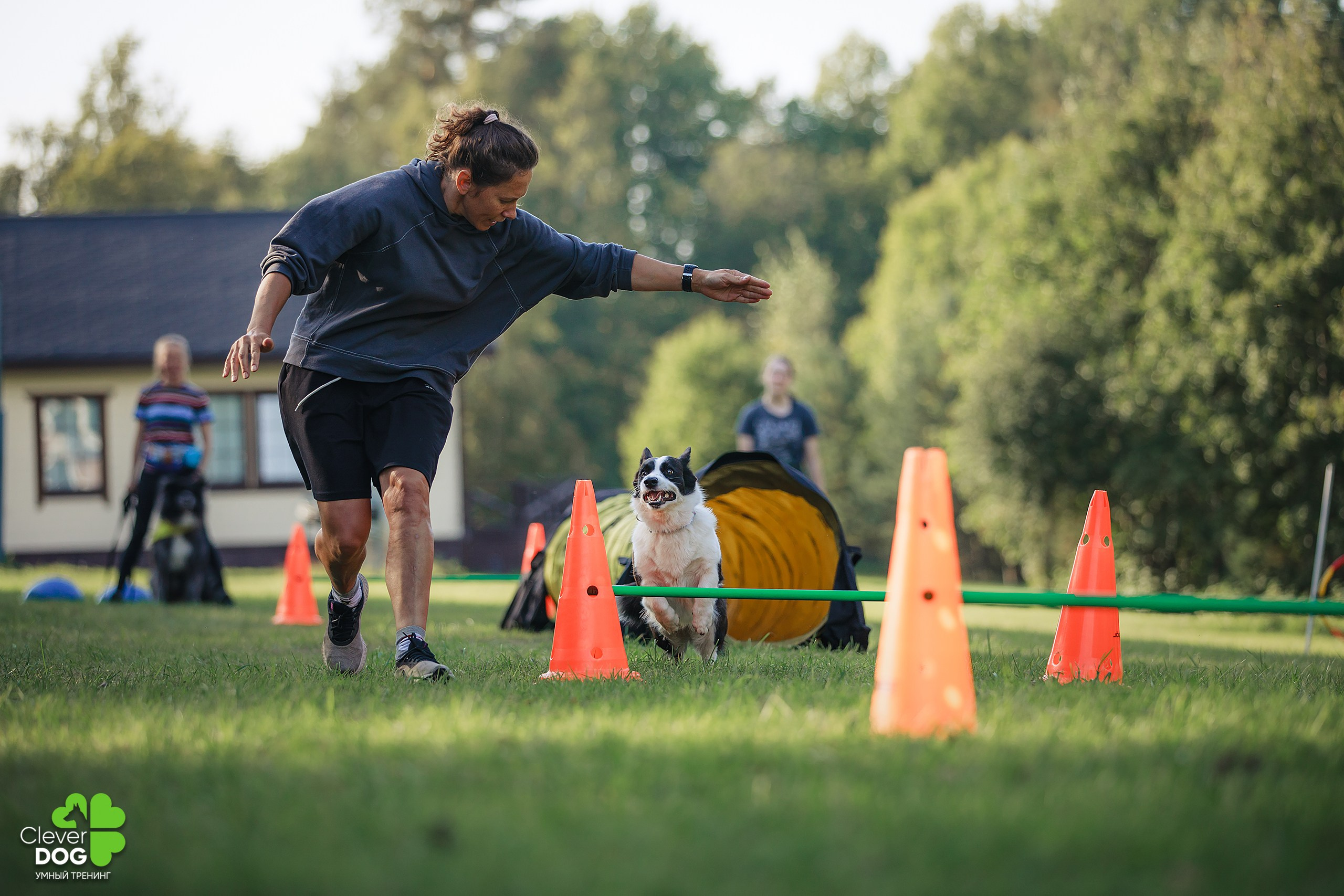 Кинологический лагерь CleverDog, 2024. Фотограф-анималист Mary Mart — Москва, Питер