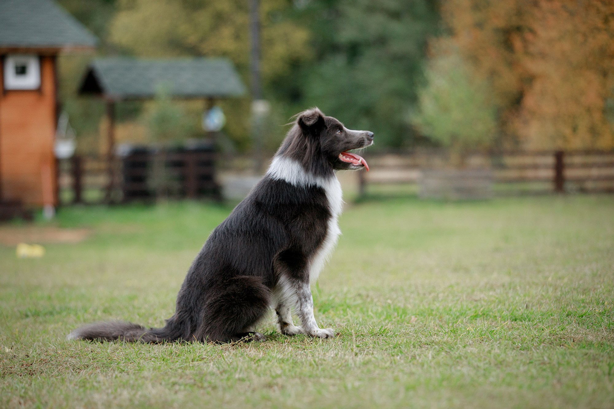 Лагерь по ОБД с Инной Баженовой. Фотограф-анималист Mary Mart — Москва, Питер