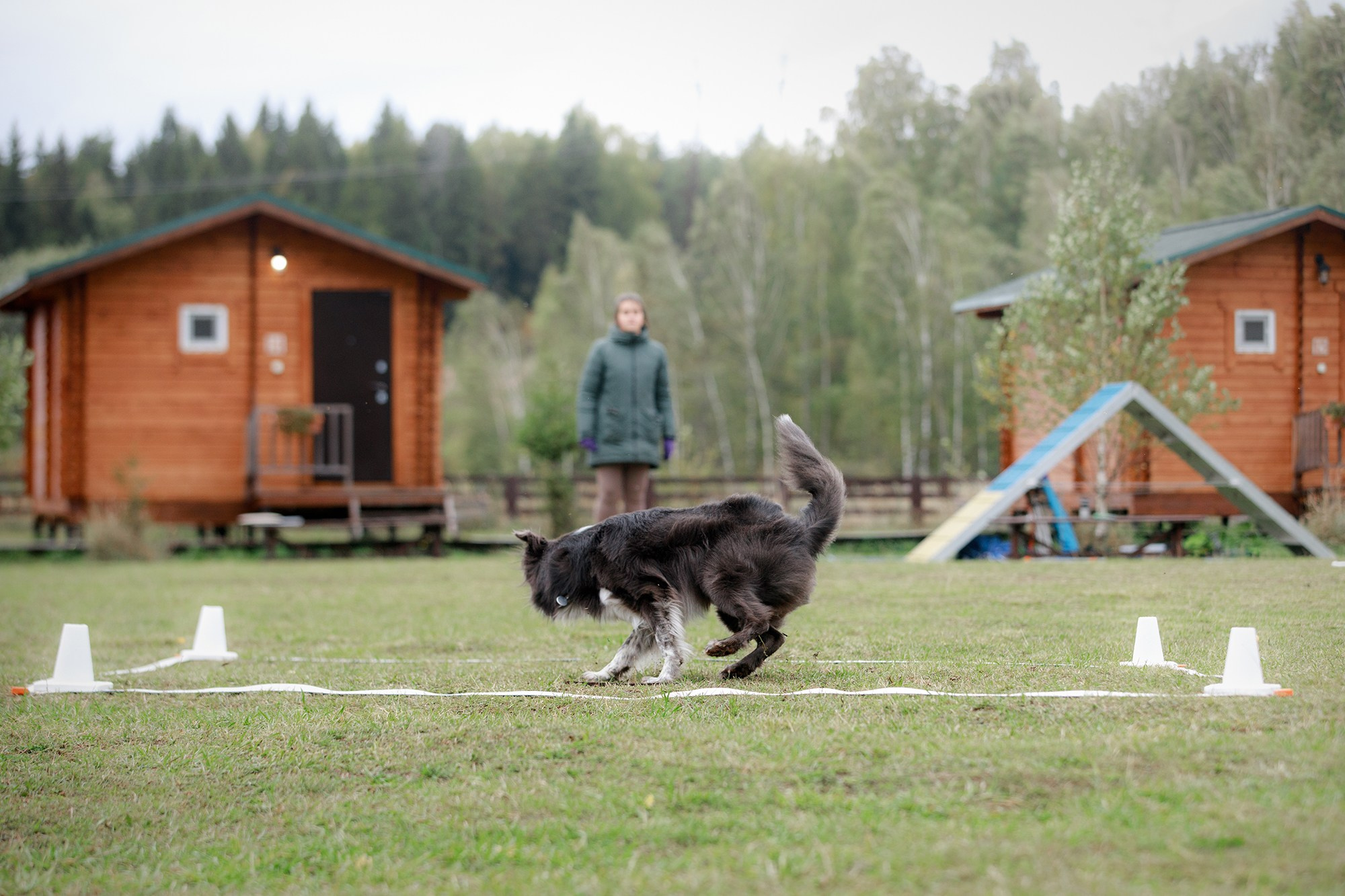 Лагерь по ОБД с Инной Баженовой. Фотограф-анималист Mary Mart — Москва, Питер
