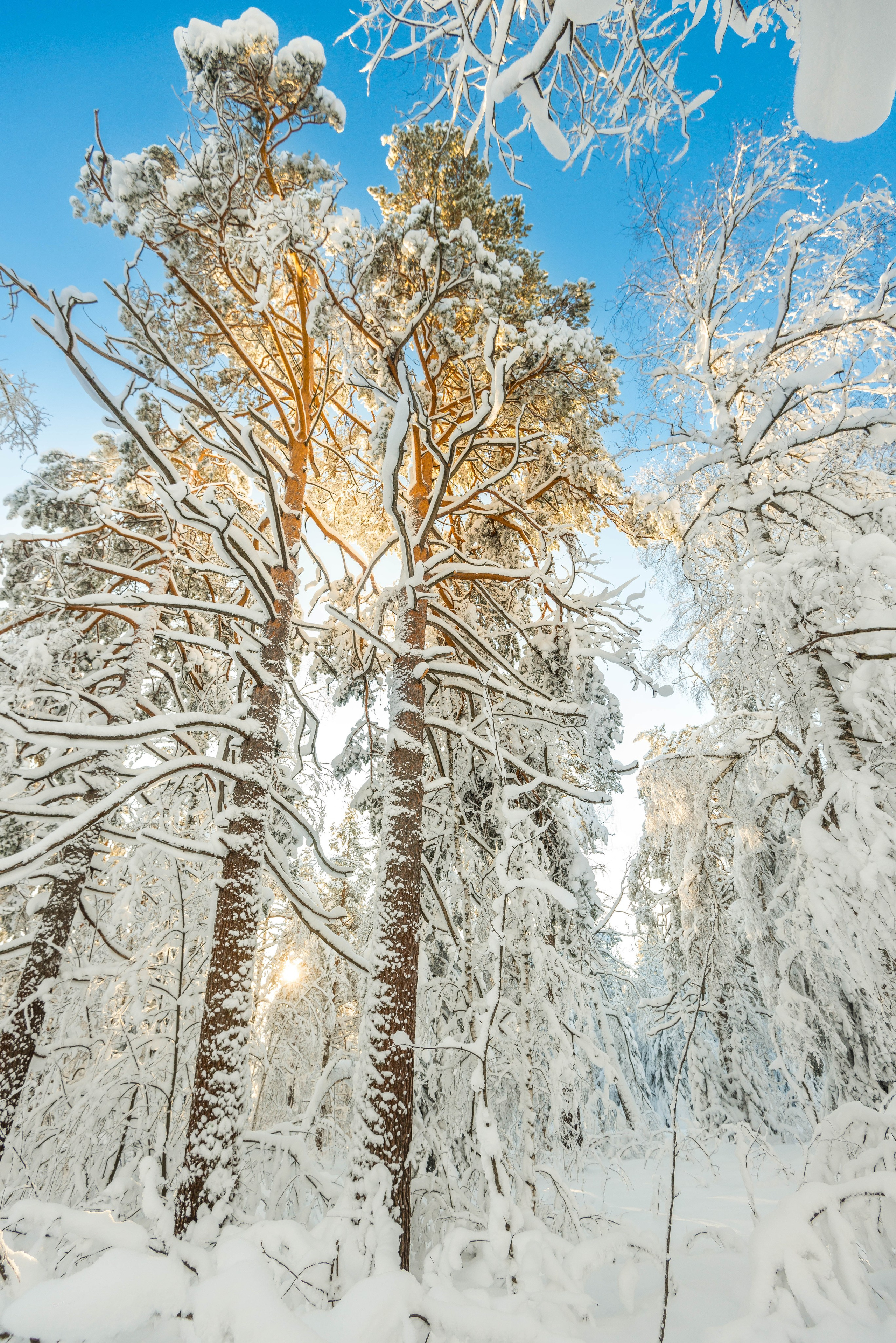 Таганай Семибратка, Парк Бажова, ледяной фонтан 06.01.2024. Свадебный фотограф на Урале Виктор Соколов