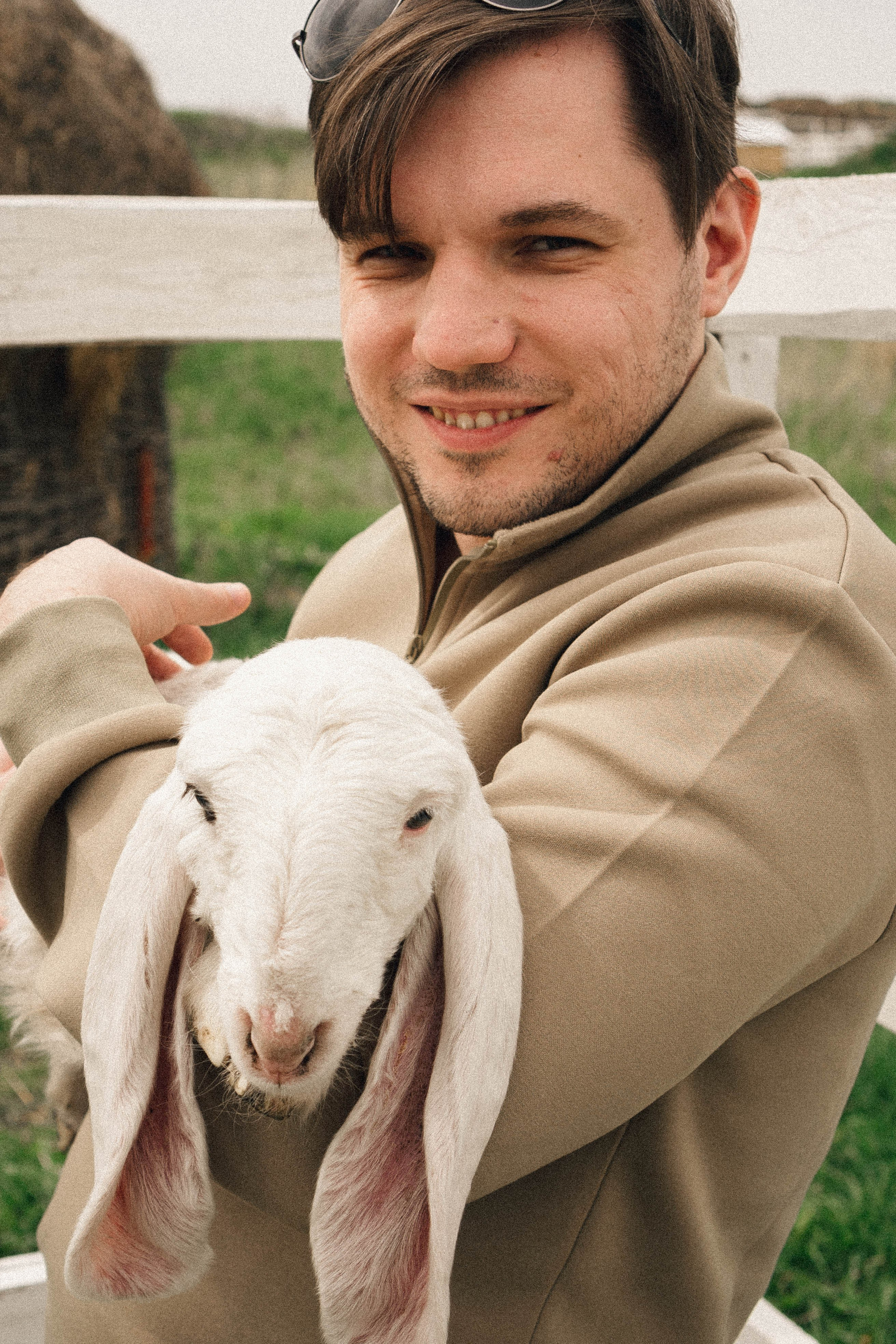 Ферма Альпак. Профессиональный фотограф, Санкт-Петербург — Виктория Богомолова