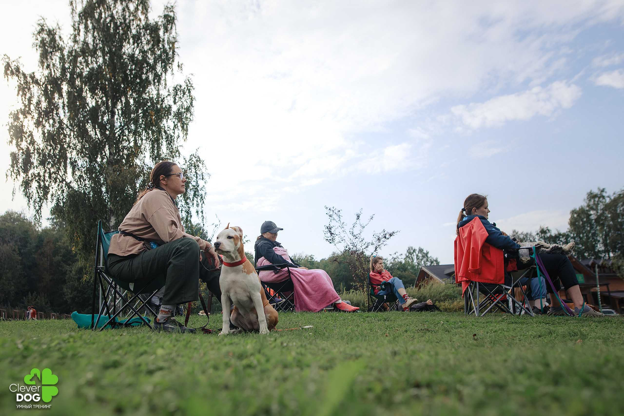 Кинологический лагерь CleverDog, 2024. Фотограф-анималист Mary Mart — Москва, Питер