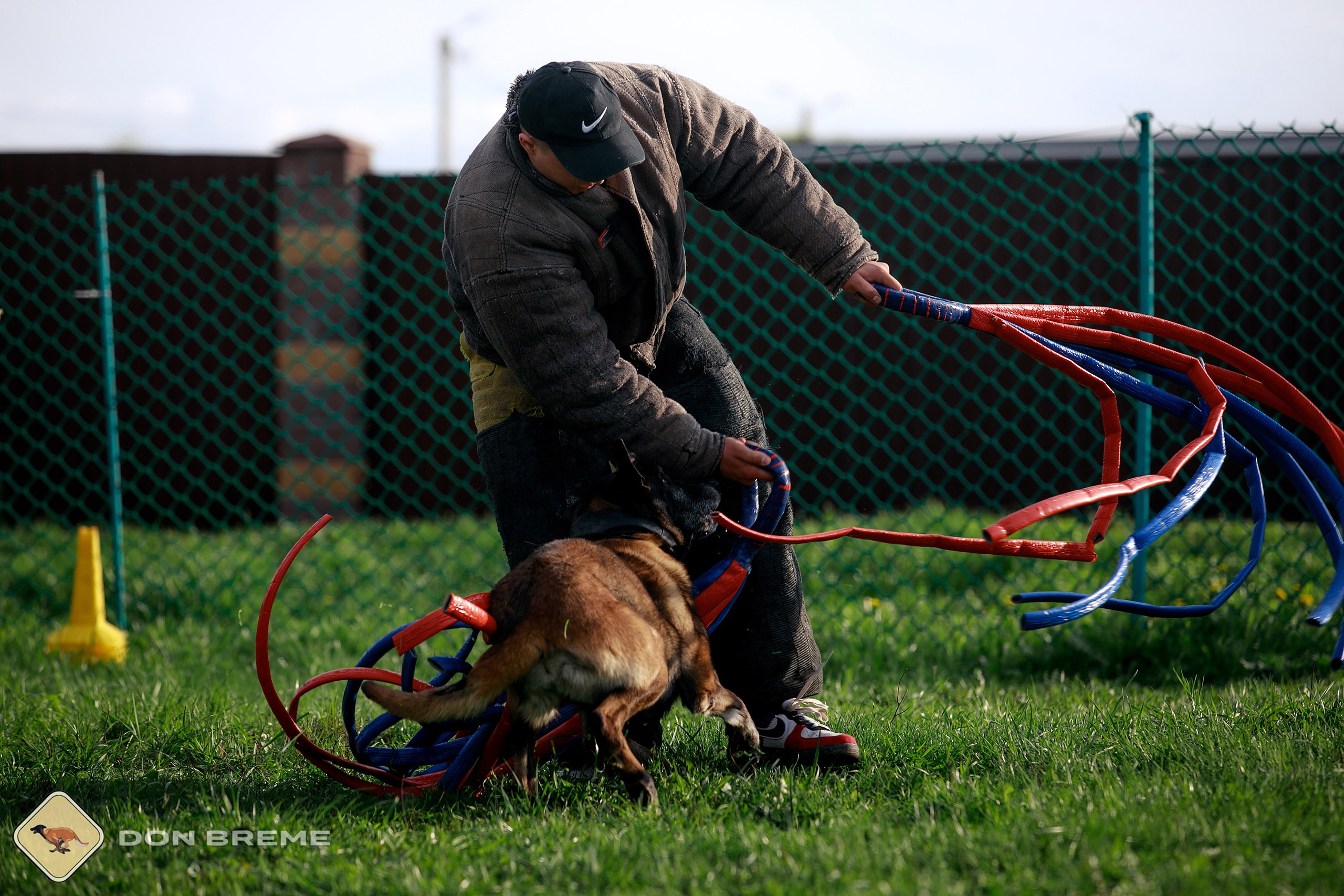 Семинар для фигурантов, день 2. Фотограф-анималист Mary Mart — Москва, Питер