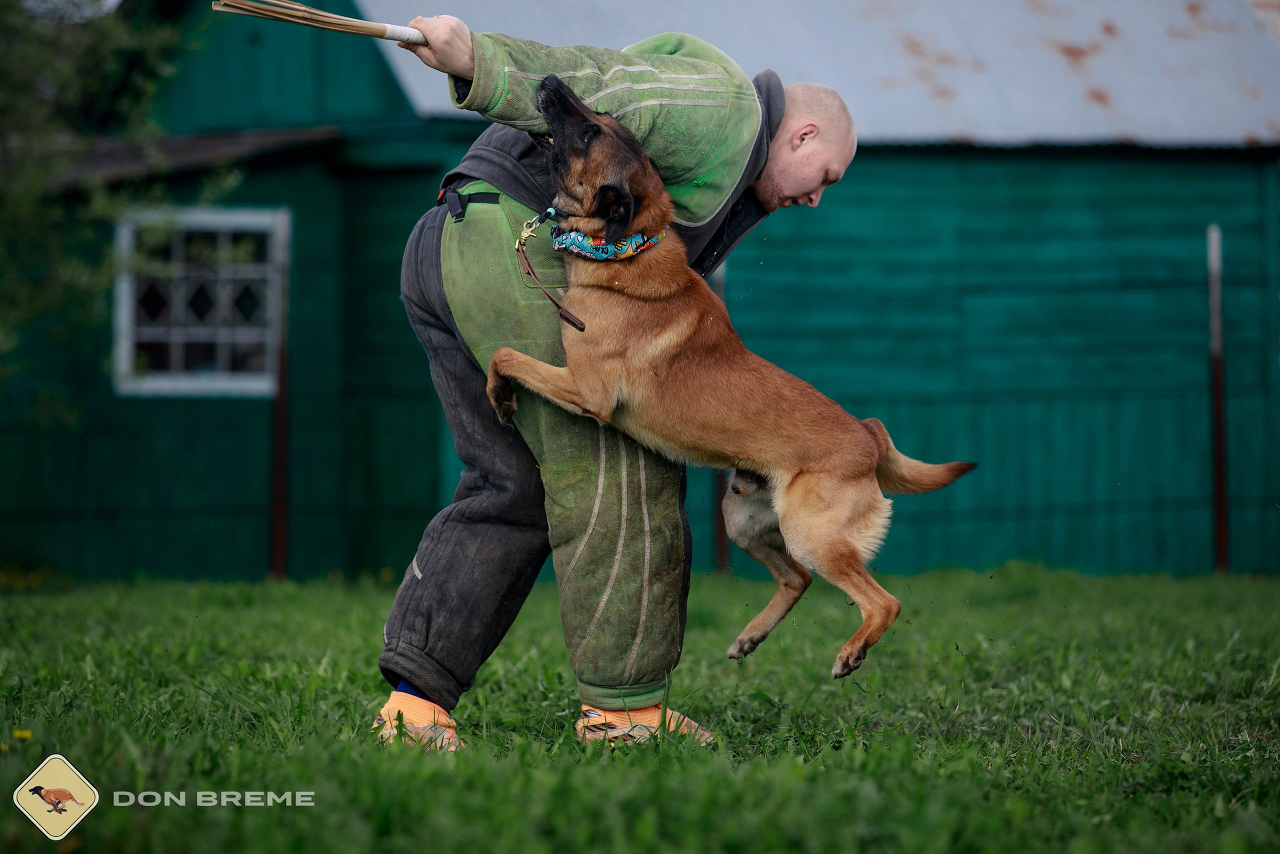 Семинар для фигурантов, день 2. Фотограф-анималист Mary Mart — Москва, Питер