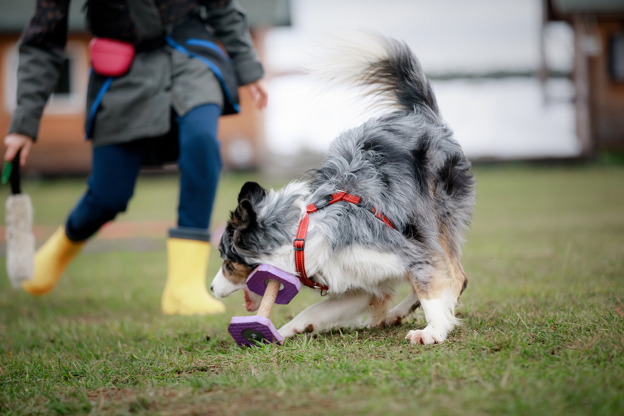 Лагерь по ОБД с Инной Баженовой. Фотограф-анималист Mary Mart — Москва, Питер