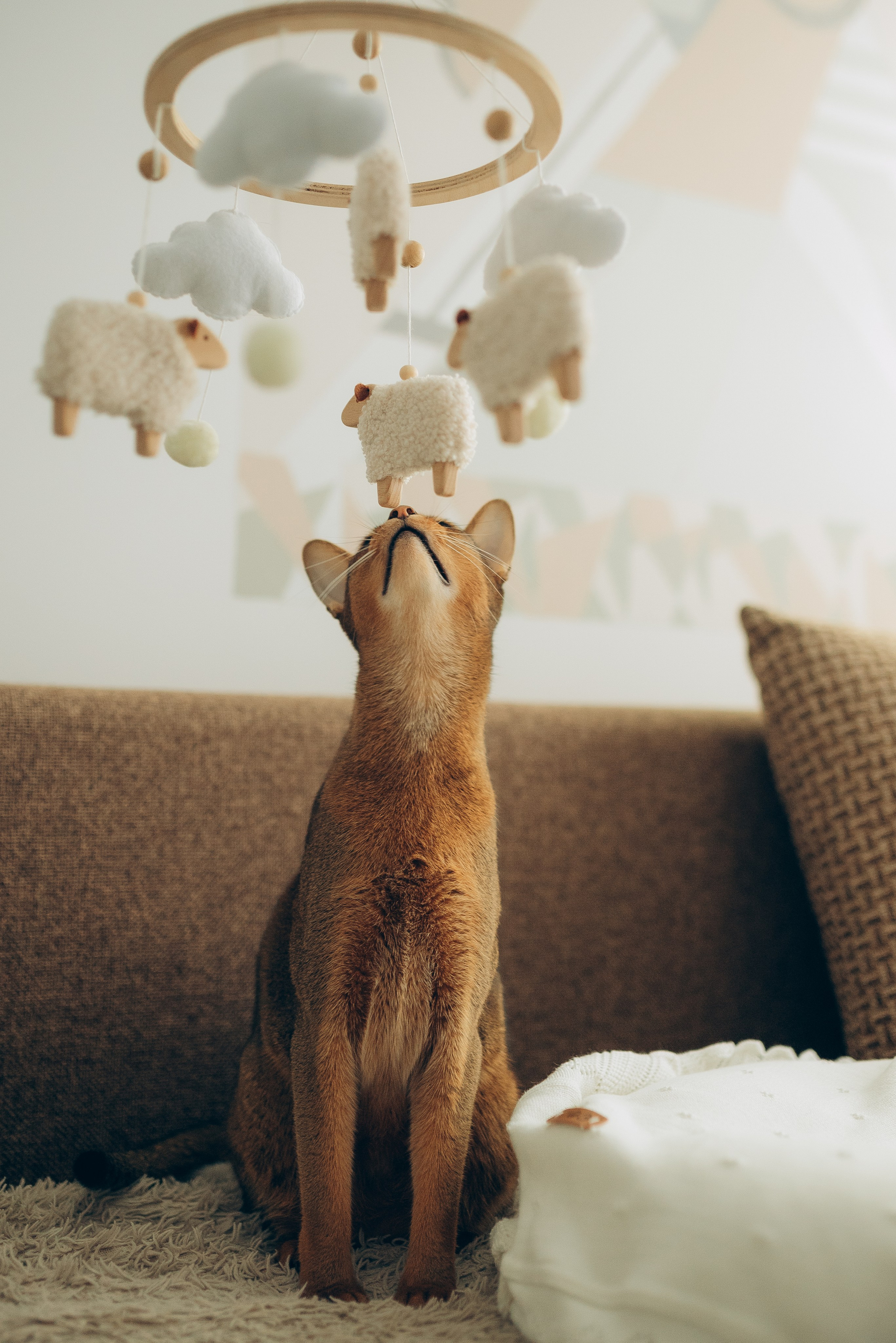 Паша. Семейный и детский фотограф в Щелково Алена Дробот