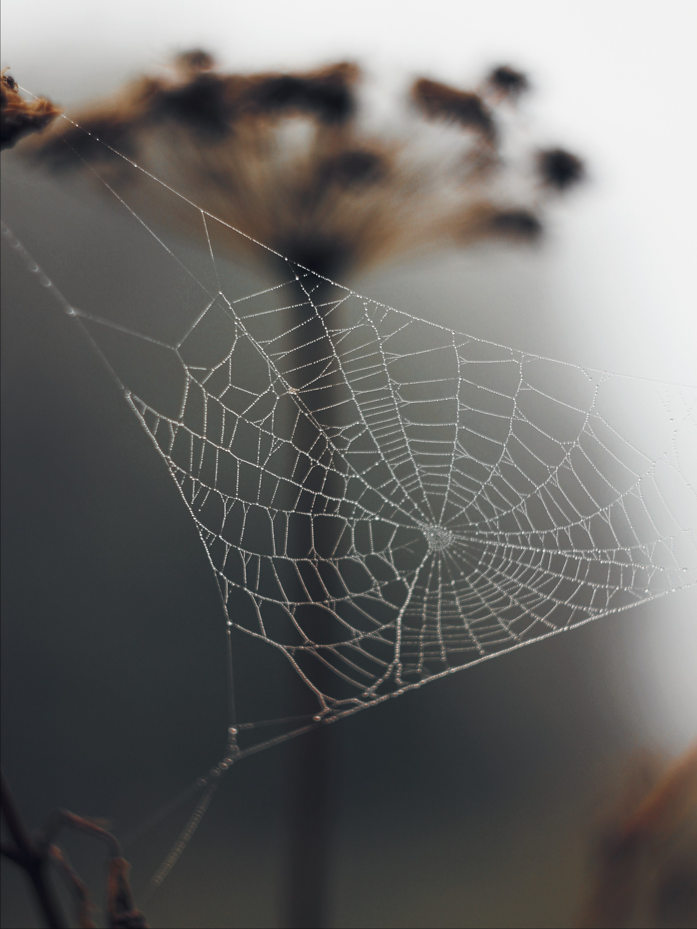 Меланхолия августа. С любовью, фотохудожник