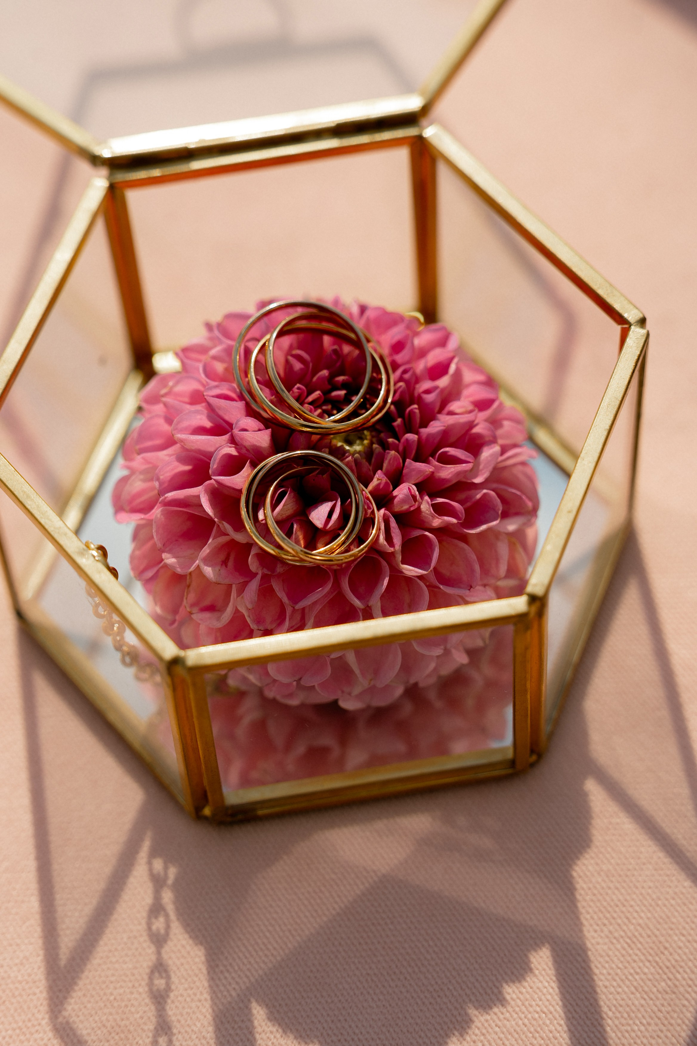 N+S Germes / Полный день (сокращено). Семейный и портретный фотограф в Саратове Сахарова Маша