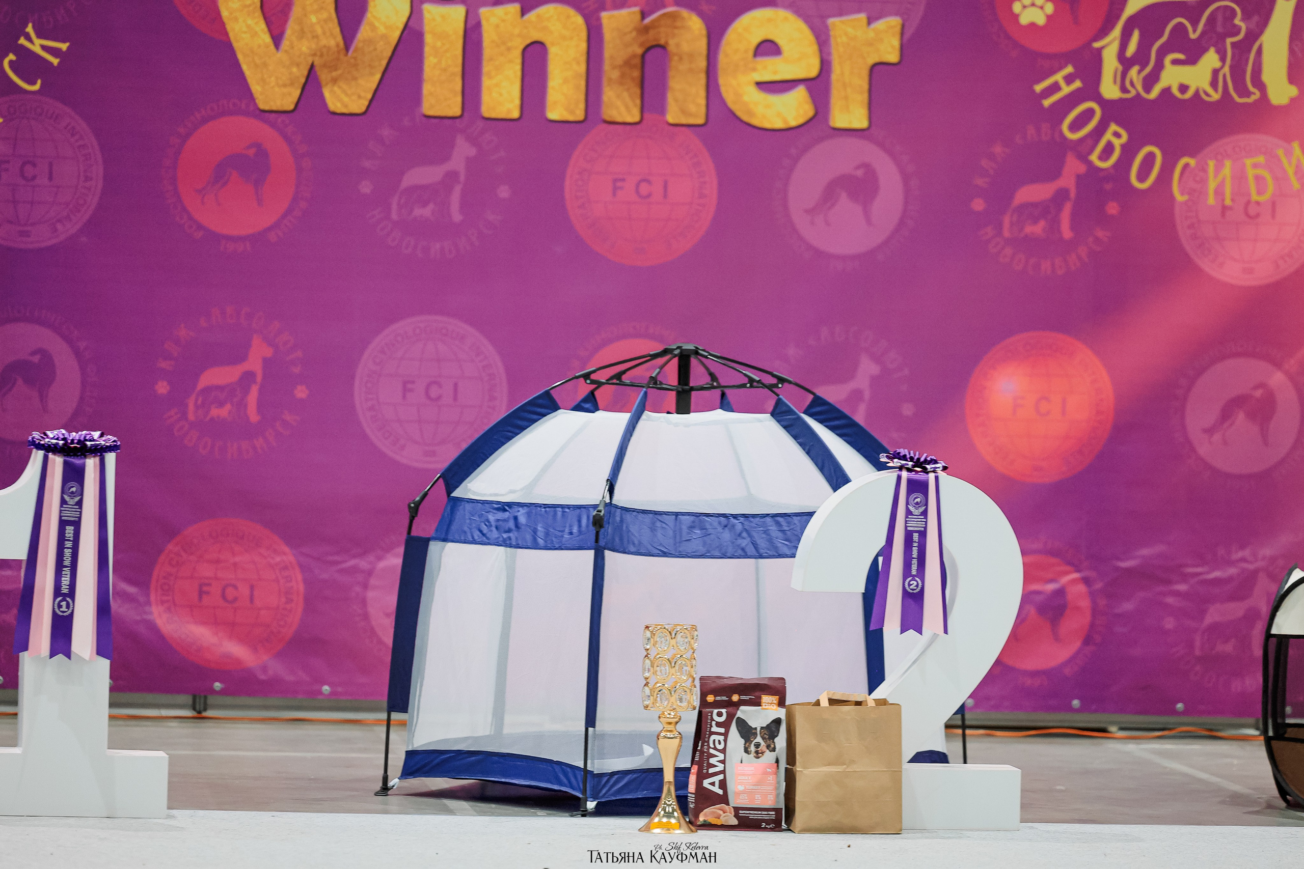 28-29.03.2026 Рейтинговая выставка в Новосибирске. Фотограф Анималист из Новосибирска Татьяна Кауфман