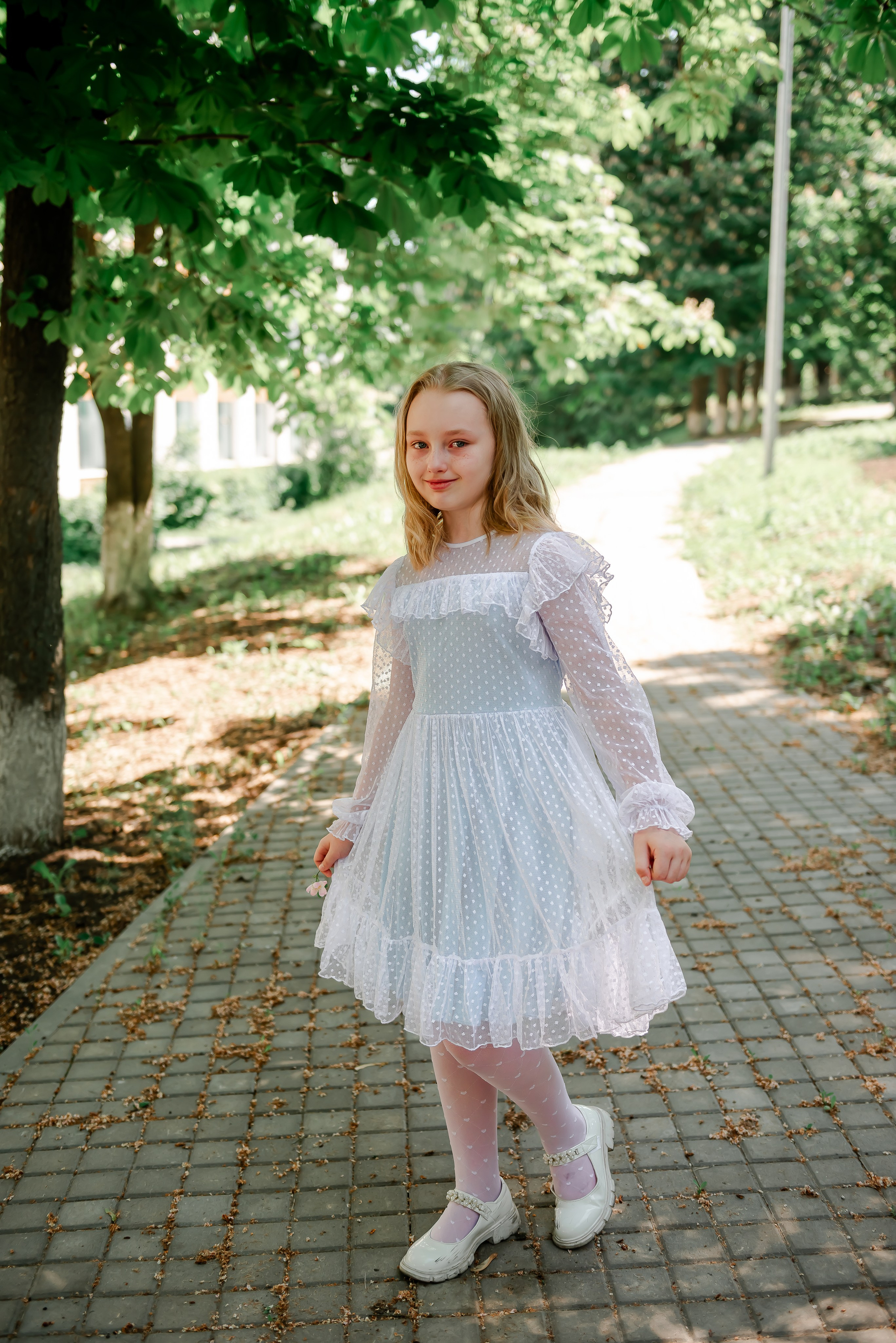 4 «Б» |г.Белгород |31 школа|2024-2025. ALBUMIA