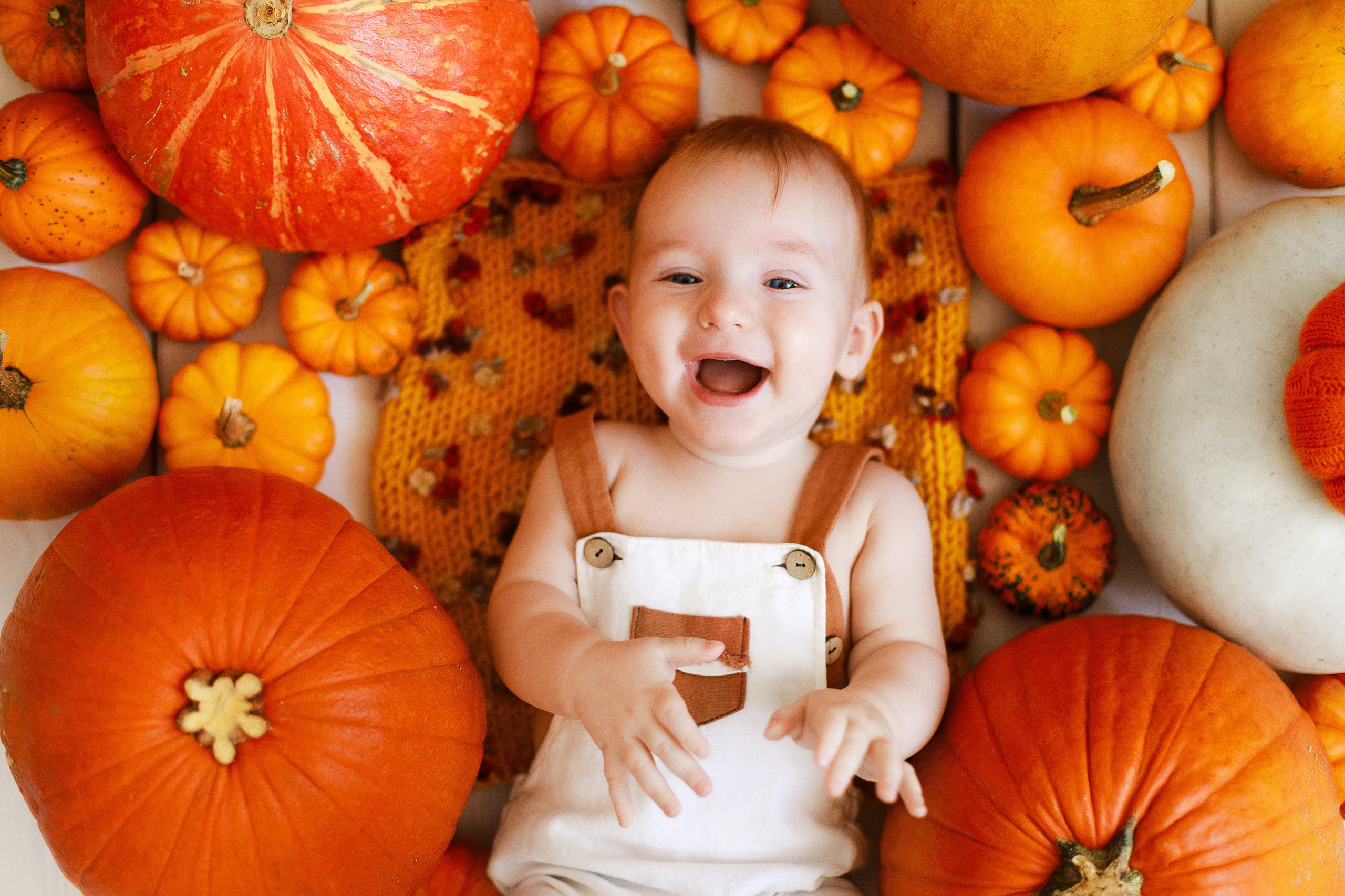 Осенняя детская фотосессия с тыквами и кроликом в Краснодаре. Детский и семейный фотограф в Краснодаре Альбина Морозова