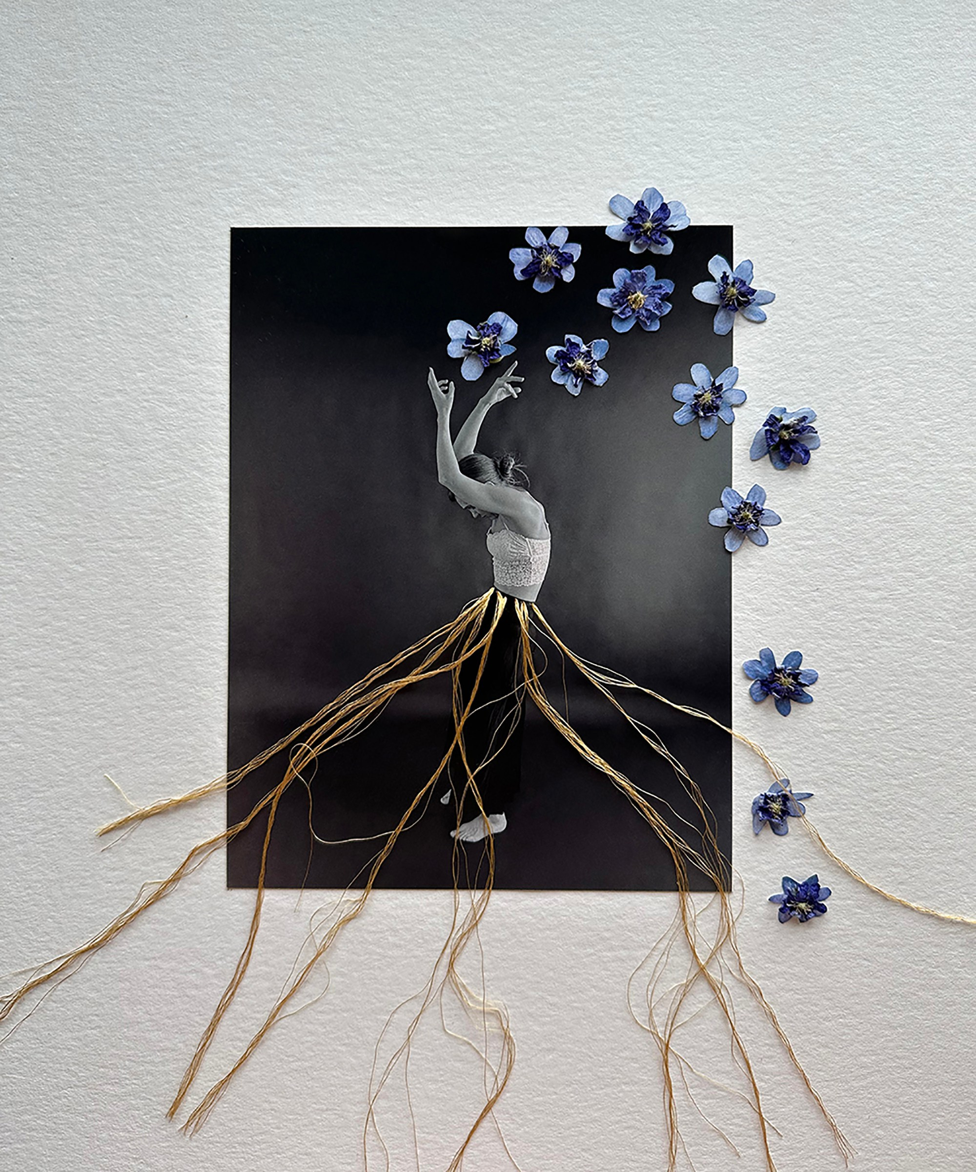 Портфолио. Визуальный художник Ольга Кутерина