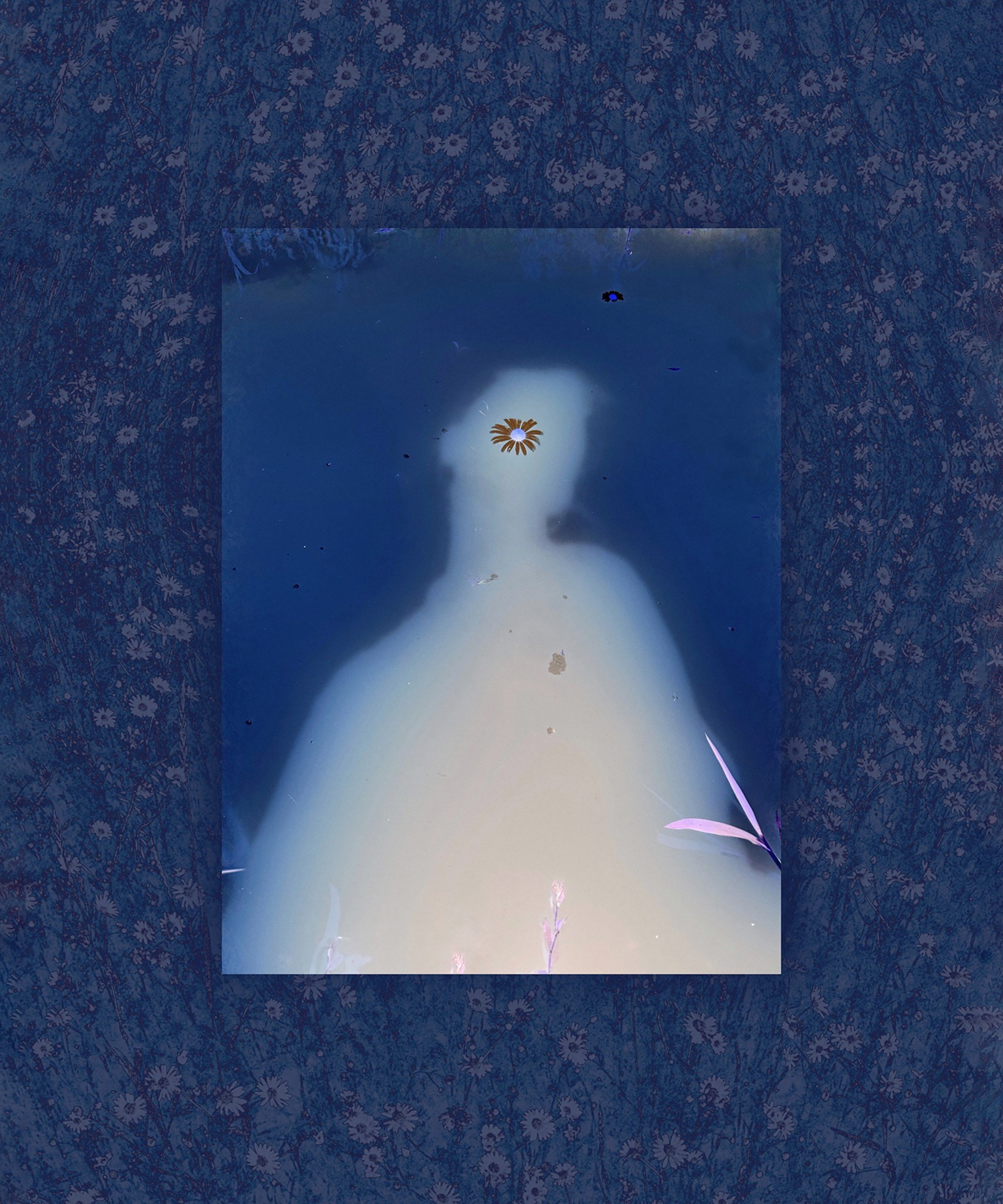 Портфолио. Визуальный художник Ольга Кутерина