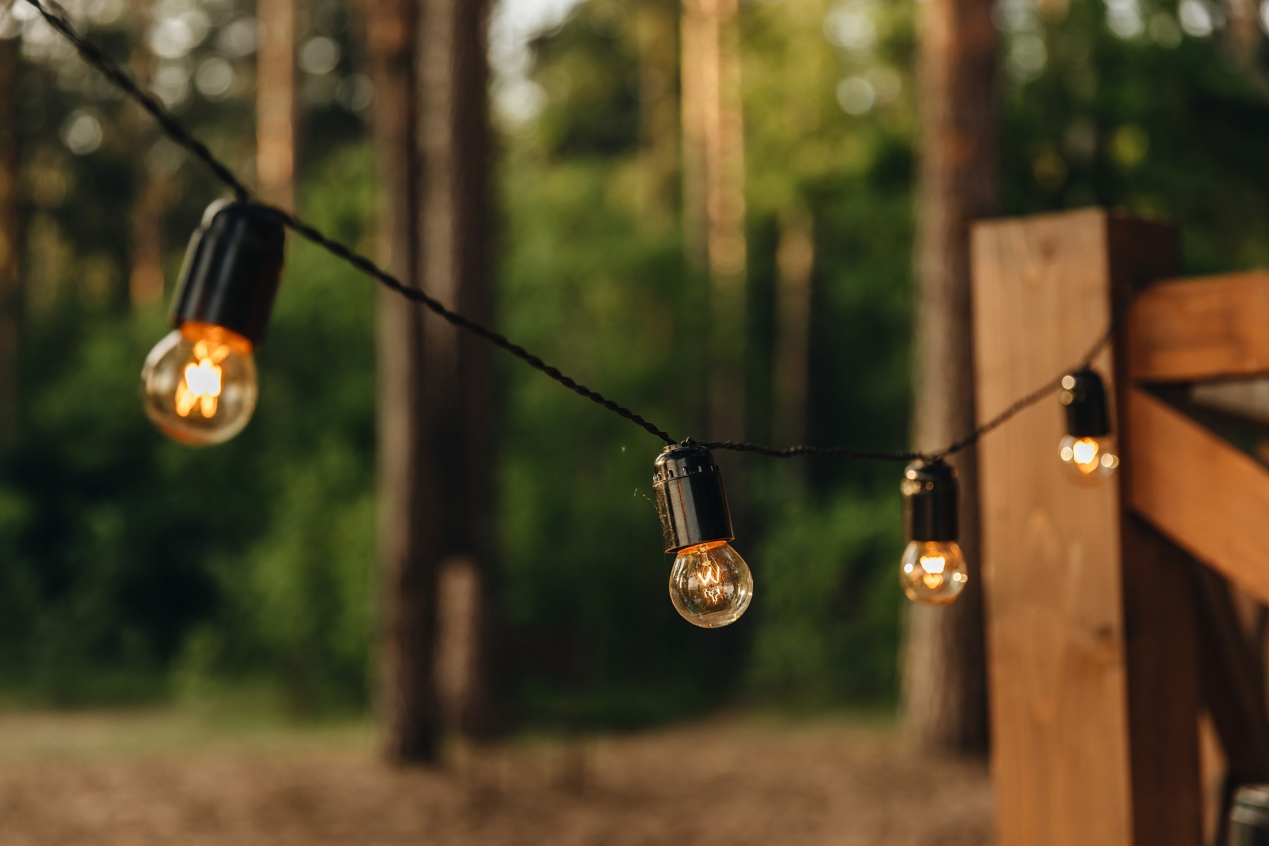 Дмитрий и Мария. Свадебный фотограф и видеограф — Сергей и Дарья