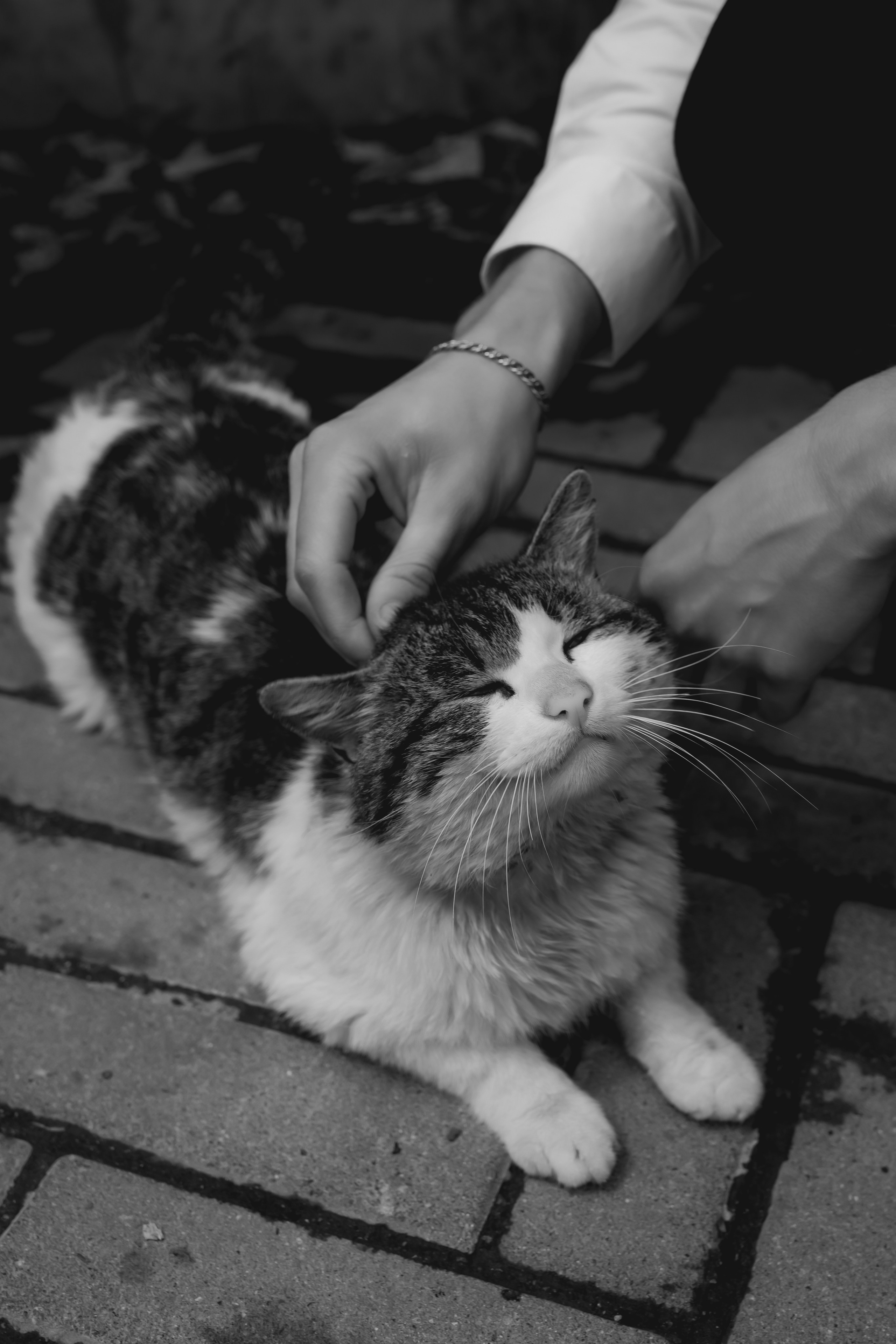 Свадьба. Дмитрий & Виктория. Фотограф во Владивостоке. Юрганова Анна