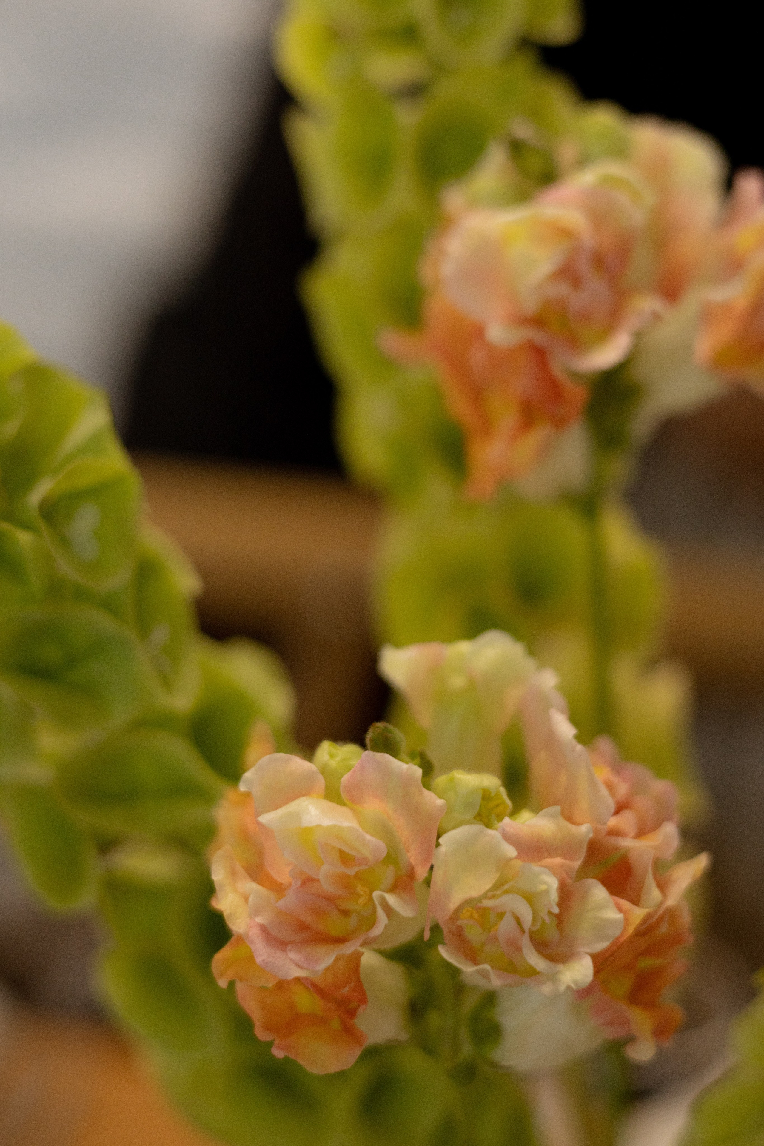 Никита & Катя. Оформление свадеб, декор свадеб Вера Маркова, Москва