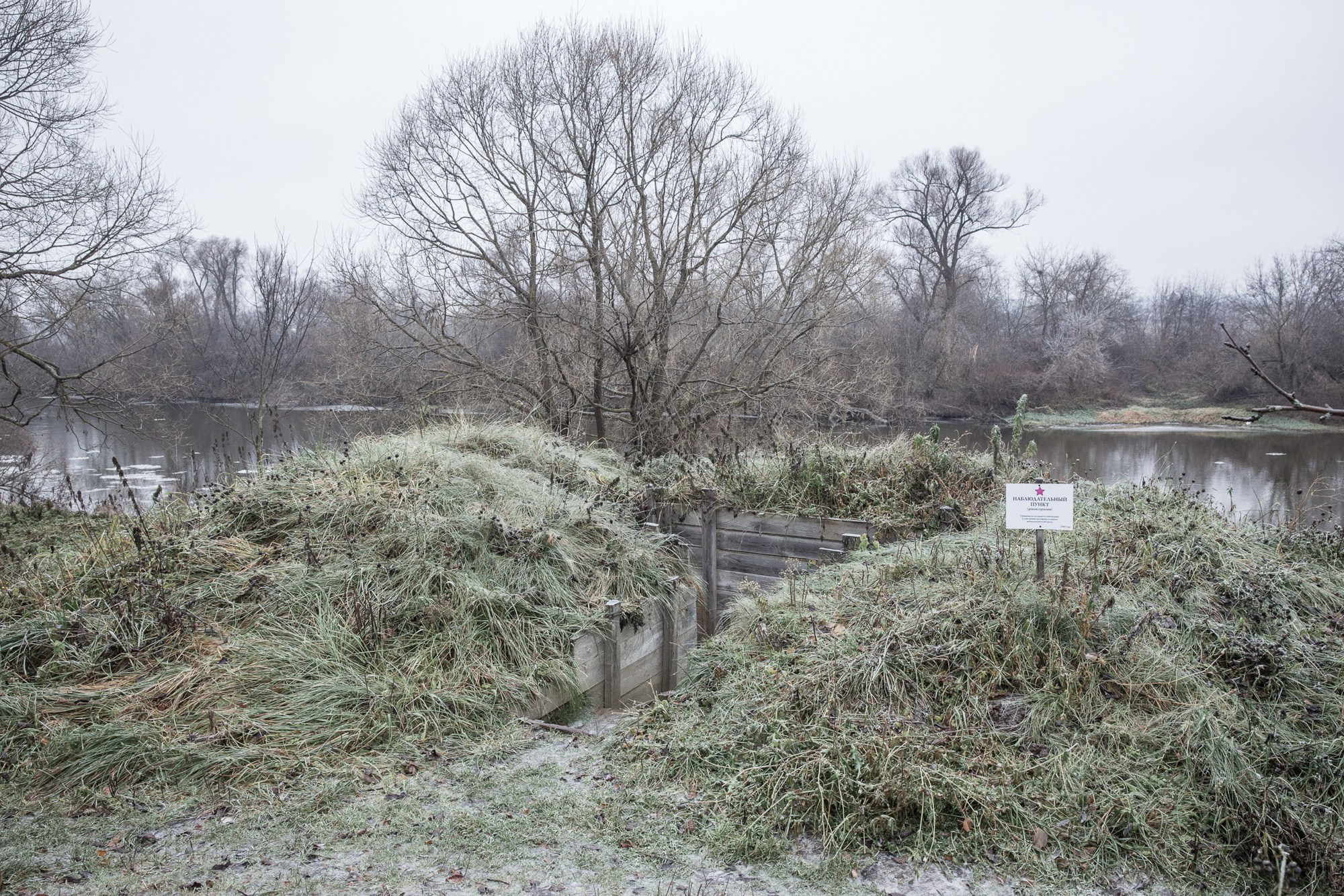 Мы прорастем травой. Yulia Nevskaya, documentary photographer and photojournalist