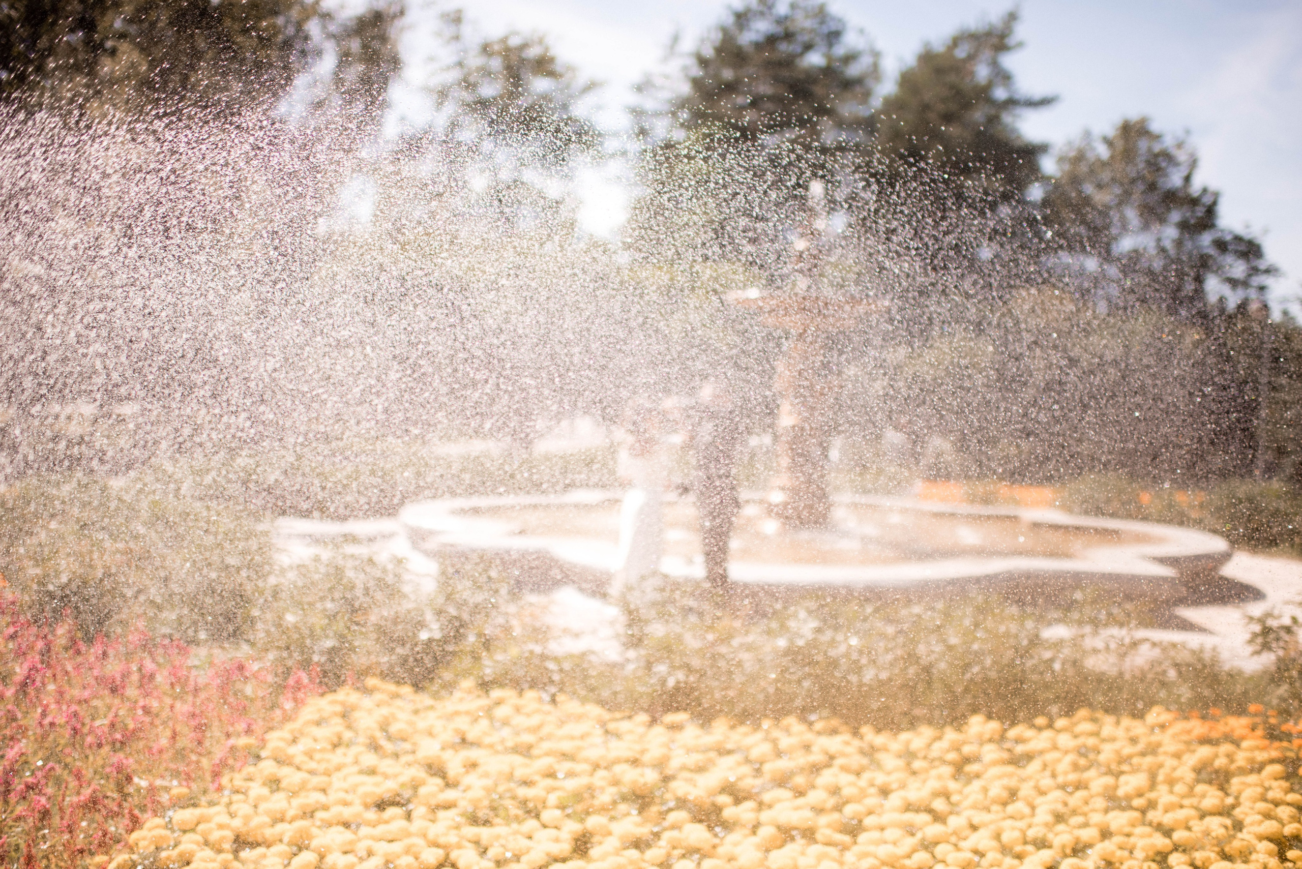 Айгуль и Юрий. Главная