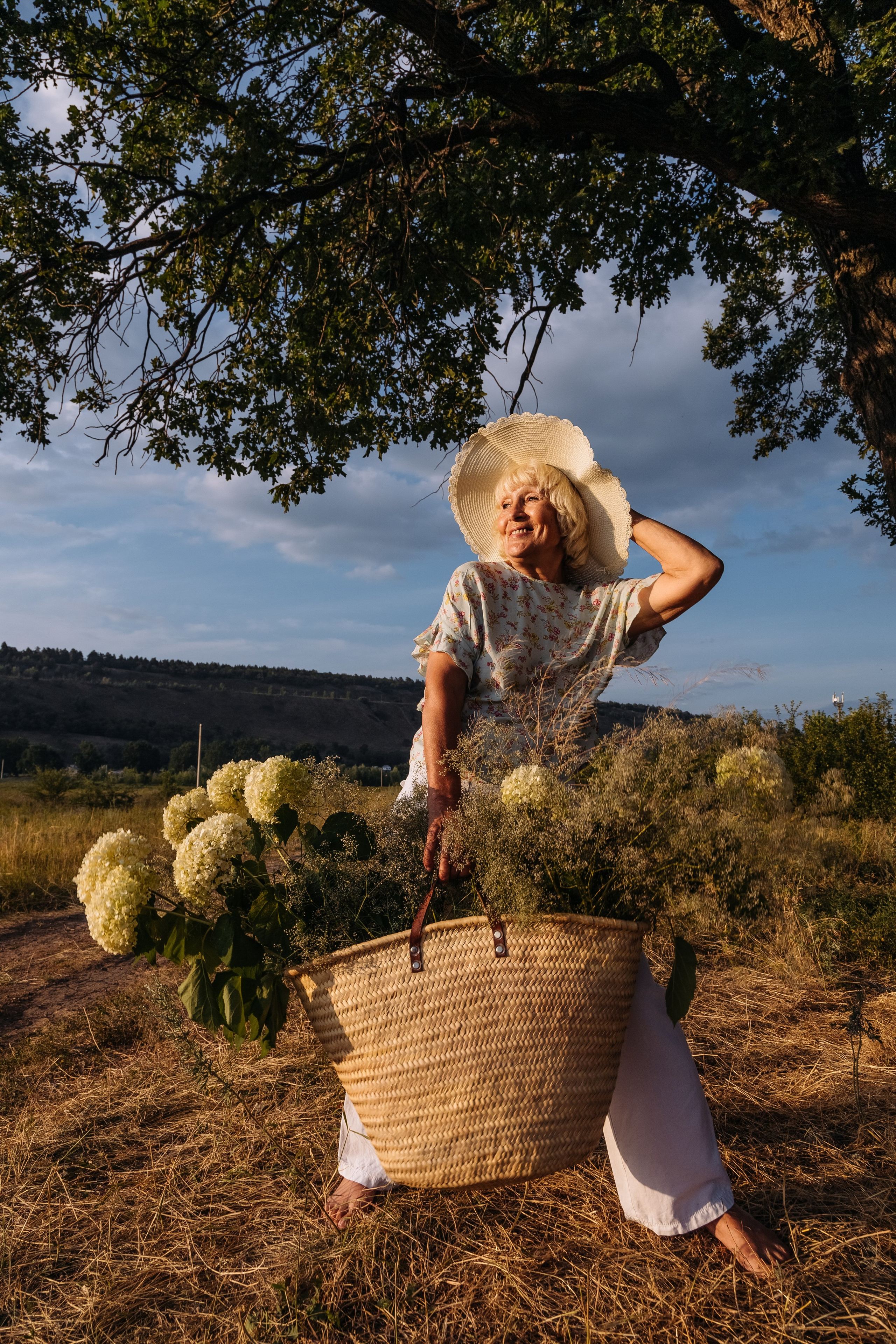 Д р е в о. Romashka photo