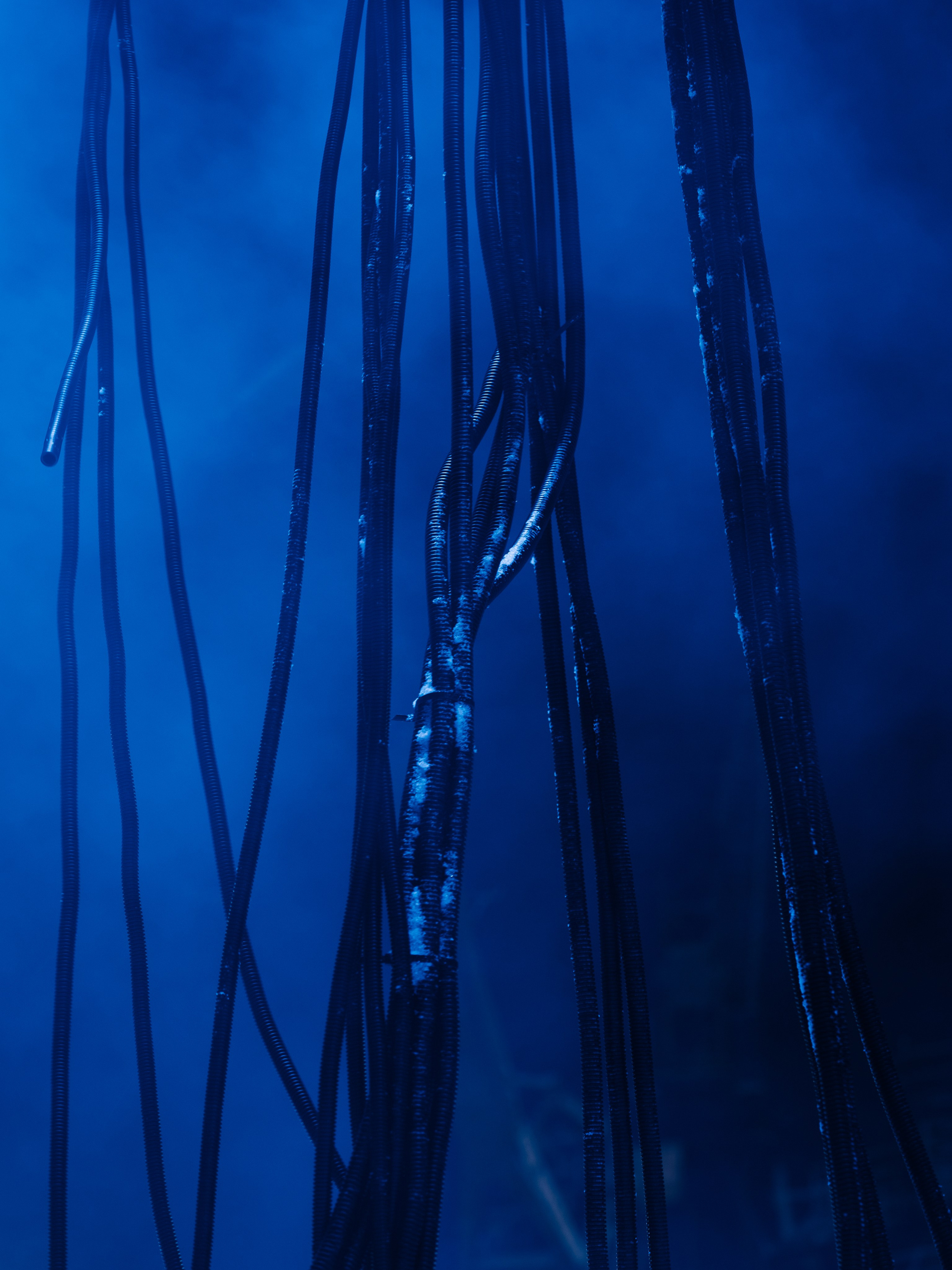 PANTERRA, POSTHUMAN ARTEFACT 003. @tomrus: Рустам Шагиморданов — фотограф