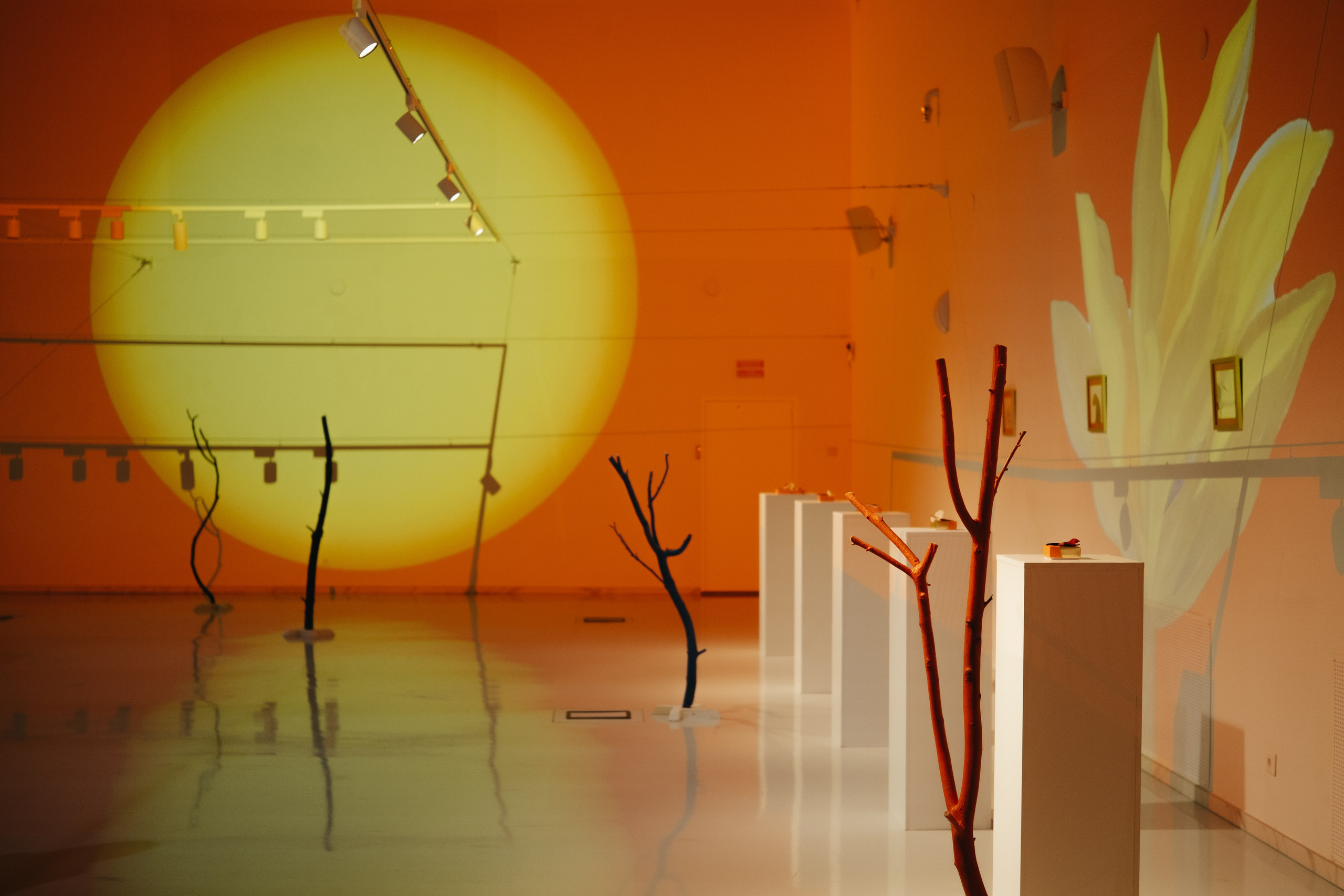 СЧАСТЬЕ & Альфия Sargin. Обо мне