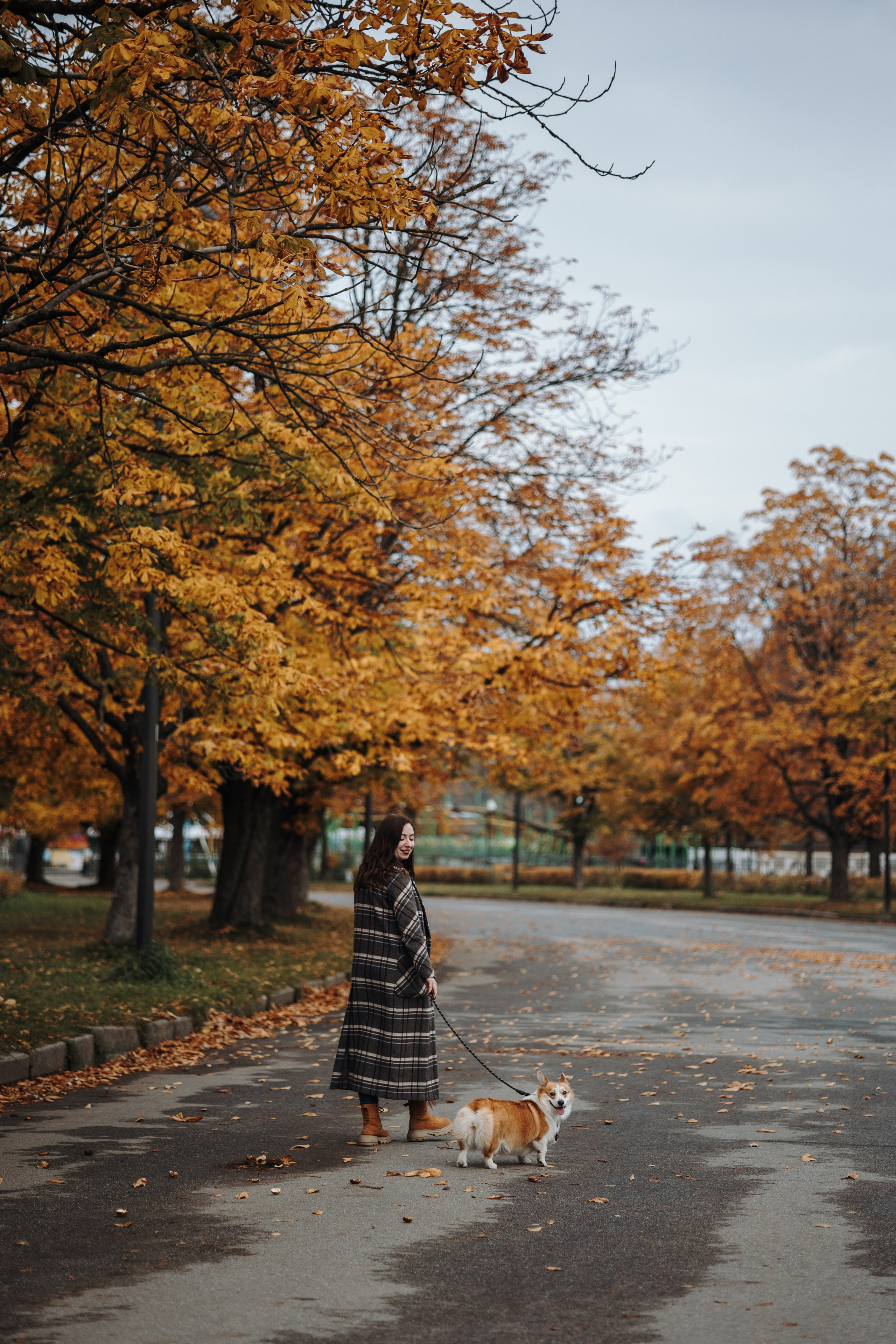 Юля и Терри. Фотограф — Анималист | Санкт-Петербург