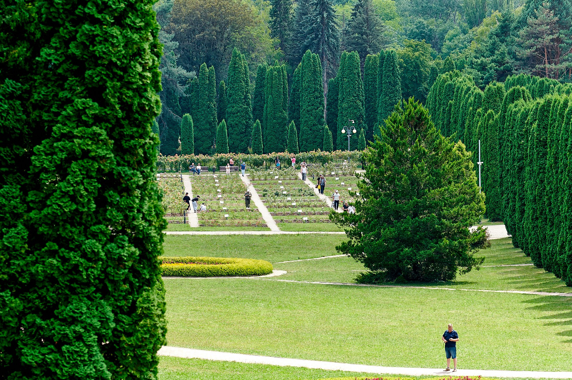 Кисловодск, Россия. Август 2024. Фотографии отовсюду и обо всем