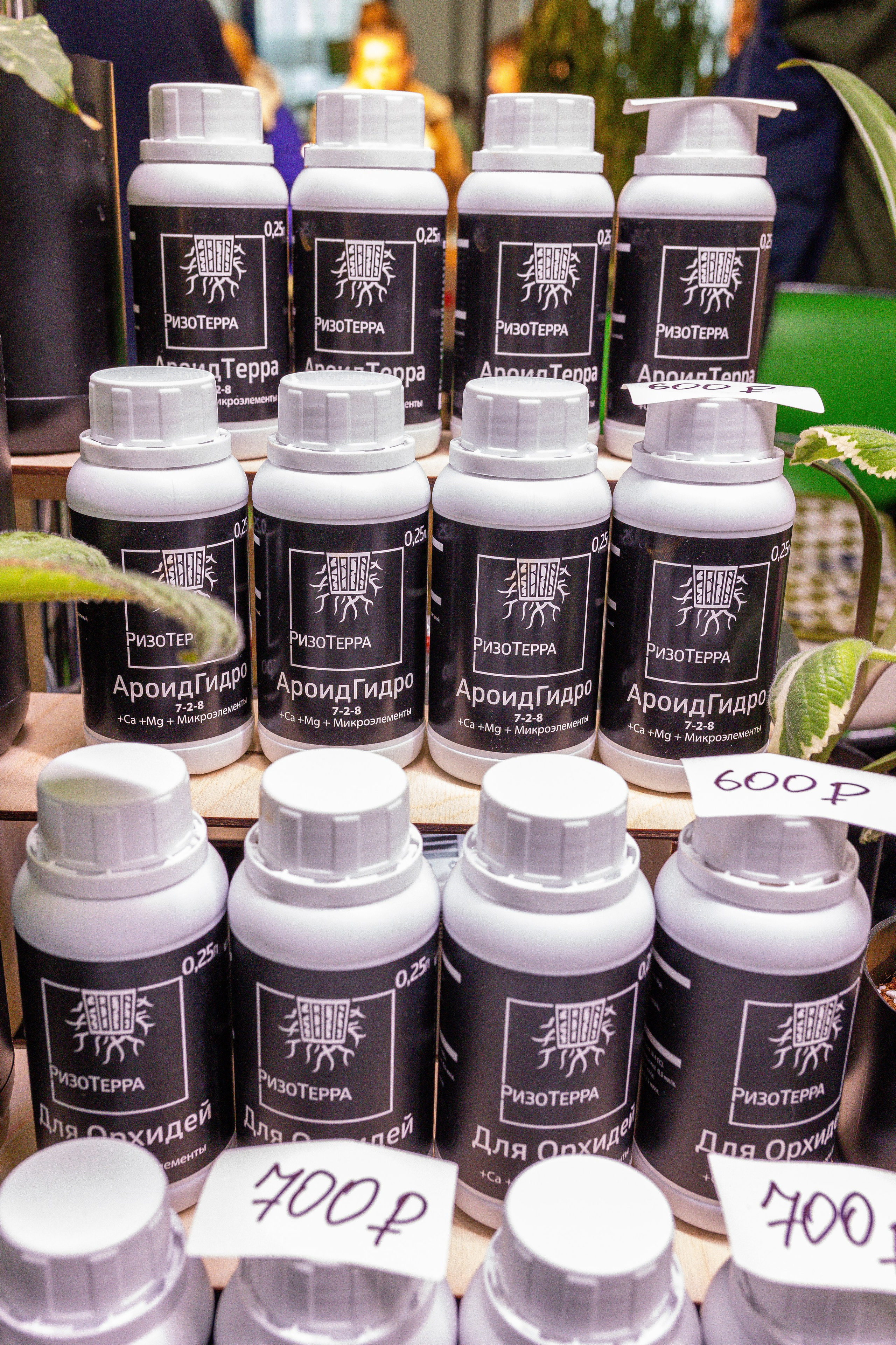 Монстериум апрель 2025. Александра Куликова фотограф, Москва