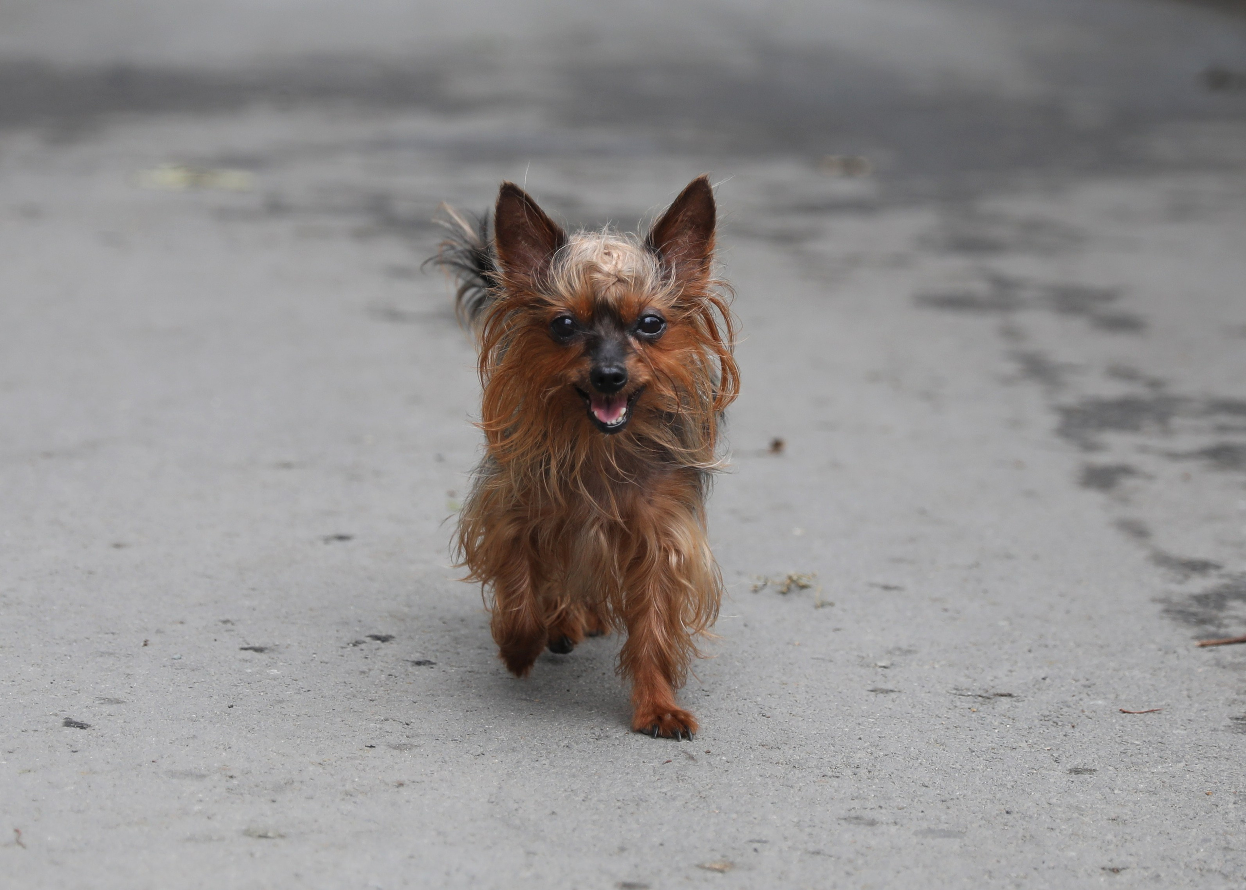 Фотограф Владивосток Николай Тынько
