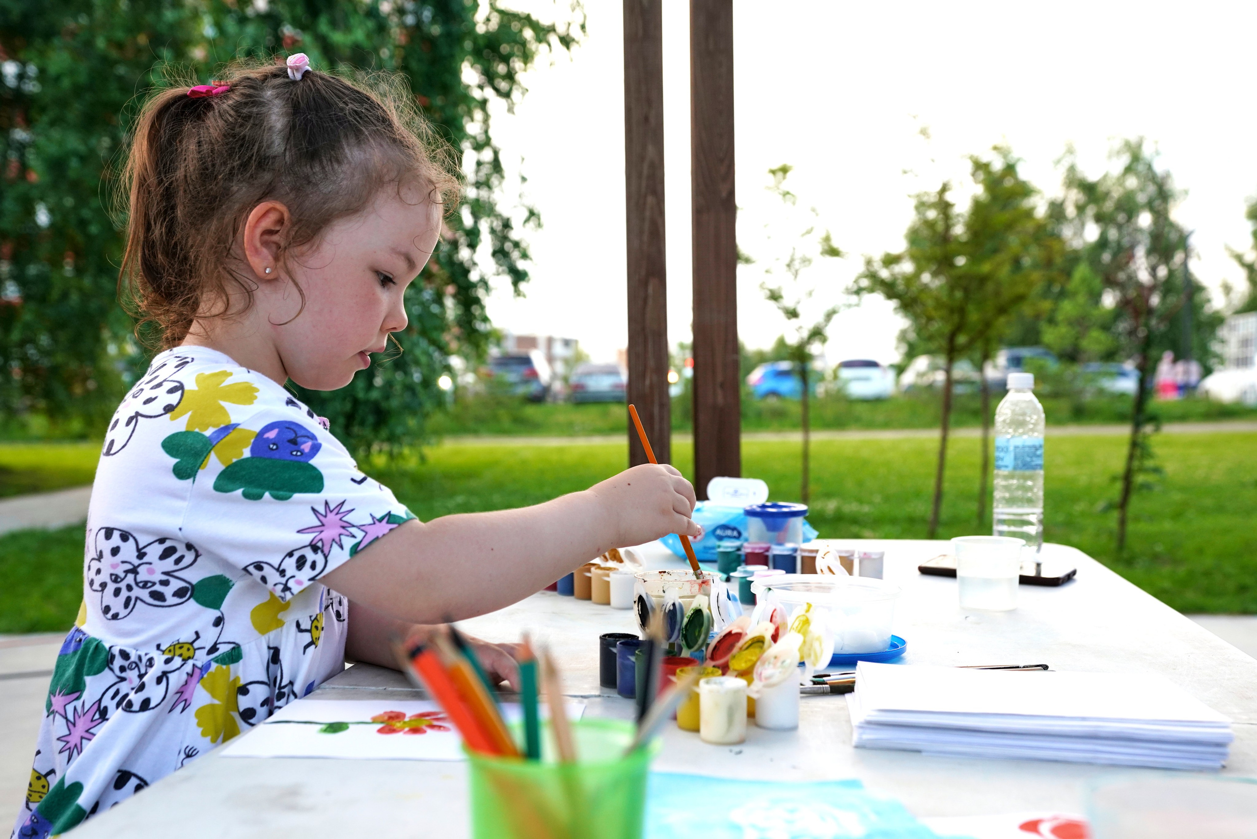 Фестиваль добрососедства г. Лаишево. Фотограф Казань