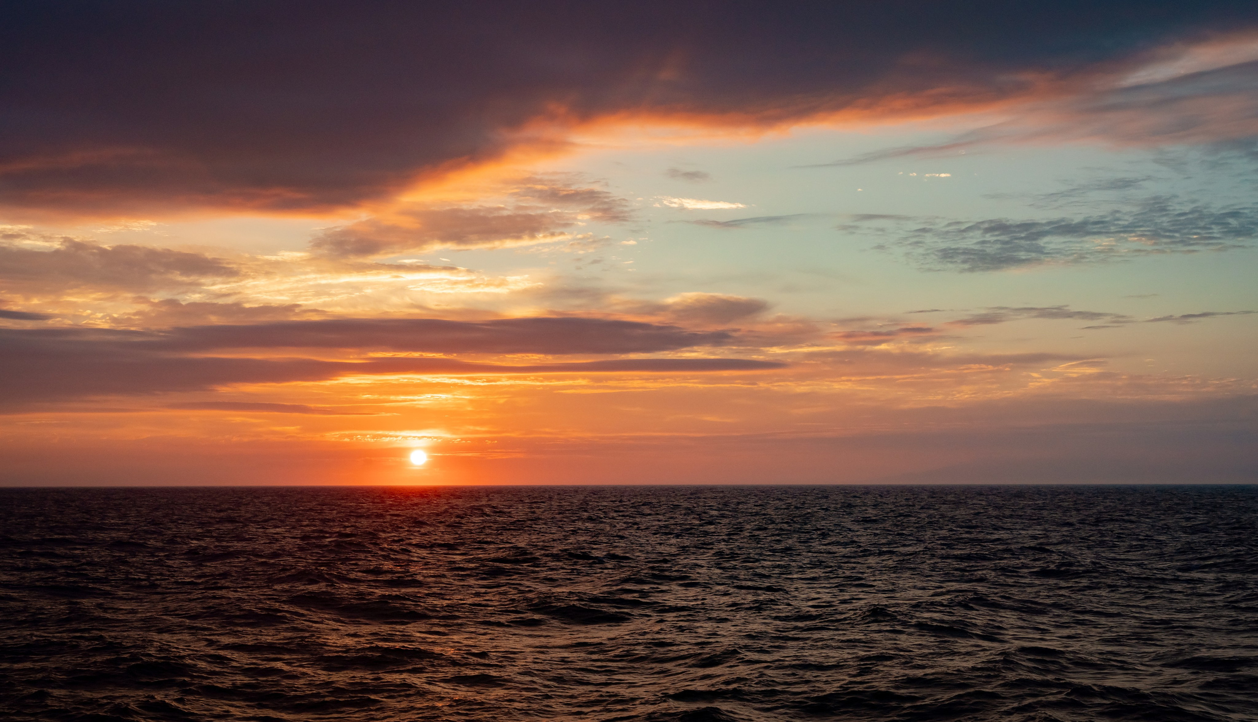 Итуруп. Семейный фотограф Варвара Сорока в городе Москве