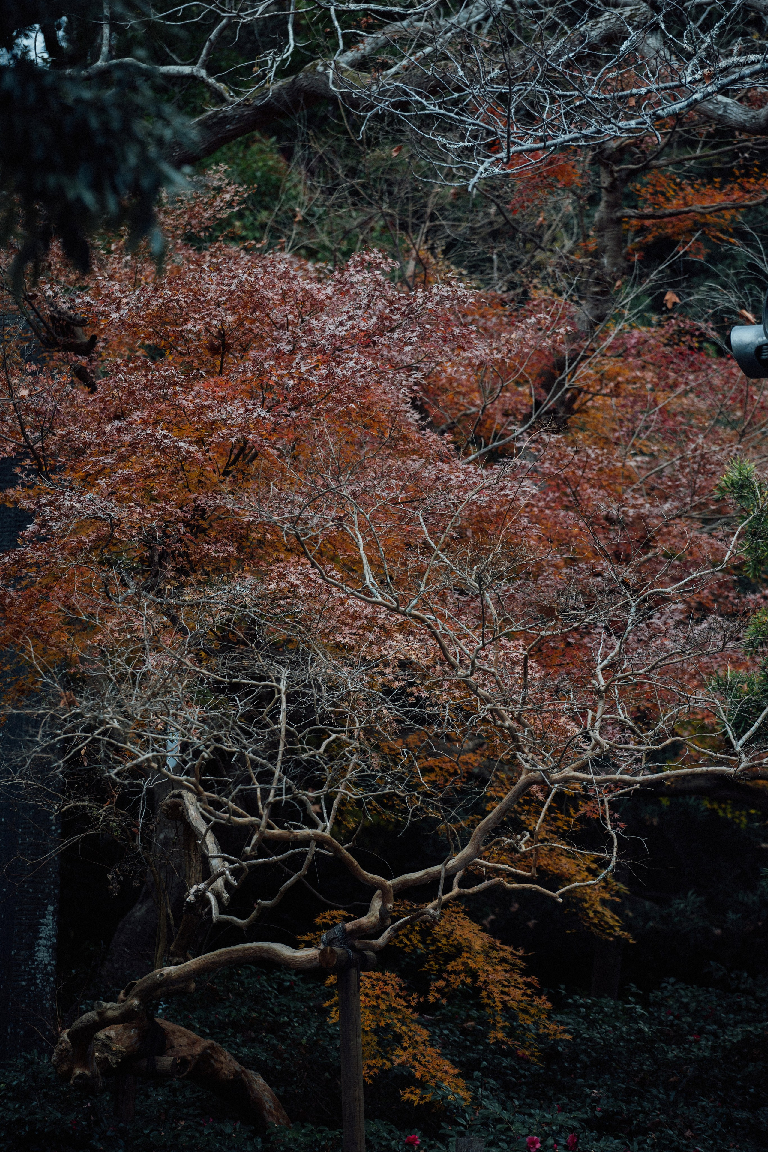 Япония. Главная