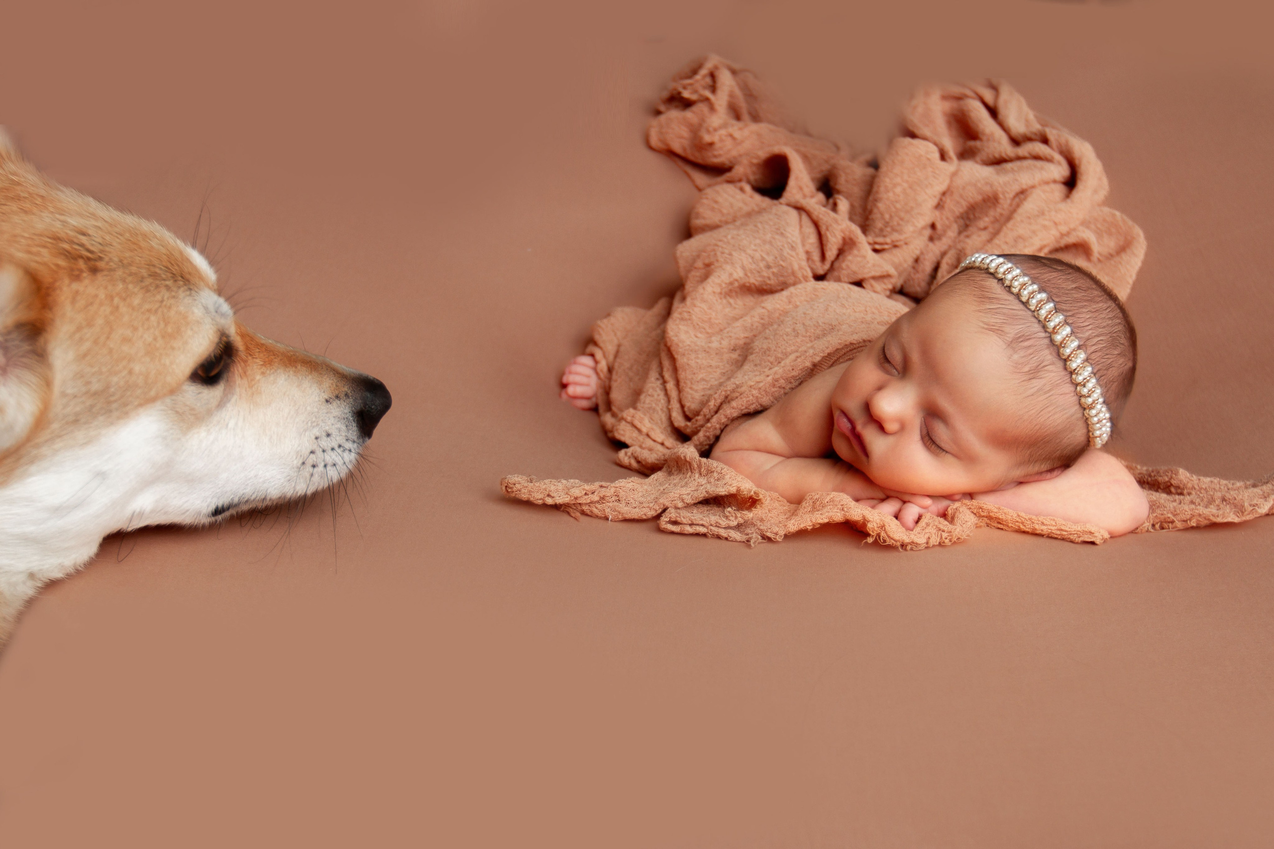 Собачка и новорожденная малышка