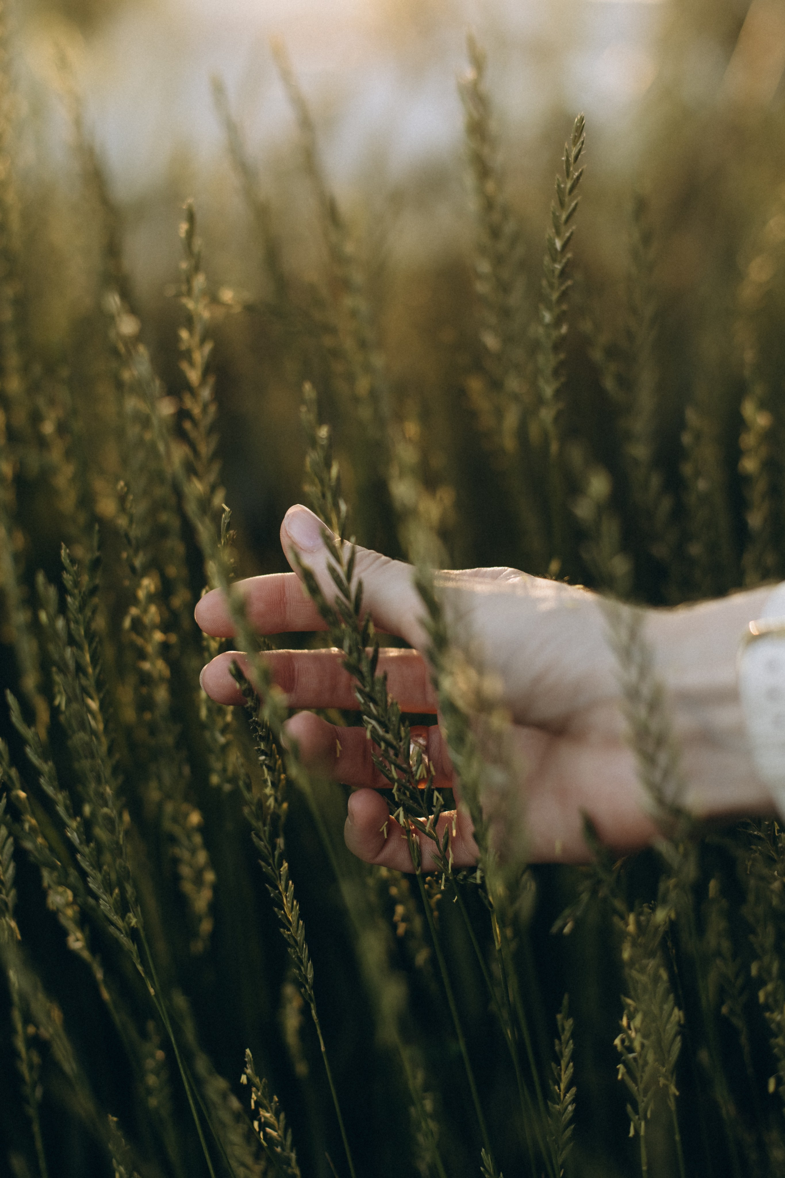 Семья Большаковых. Главная