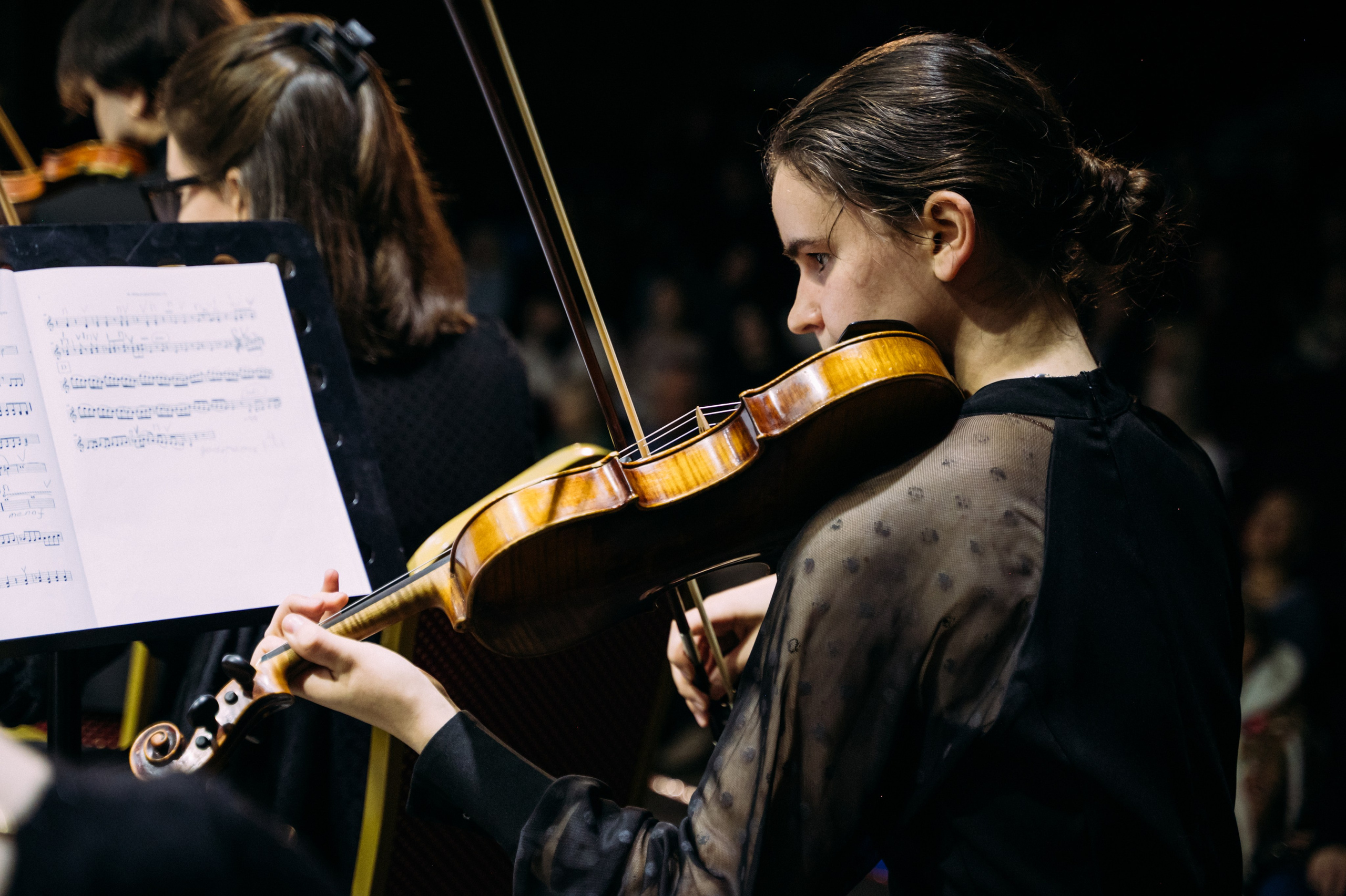 Симфонический оркестр. Фотограф в Волгограде Марина Черных