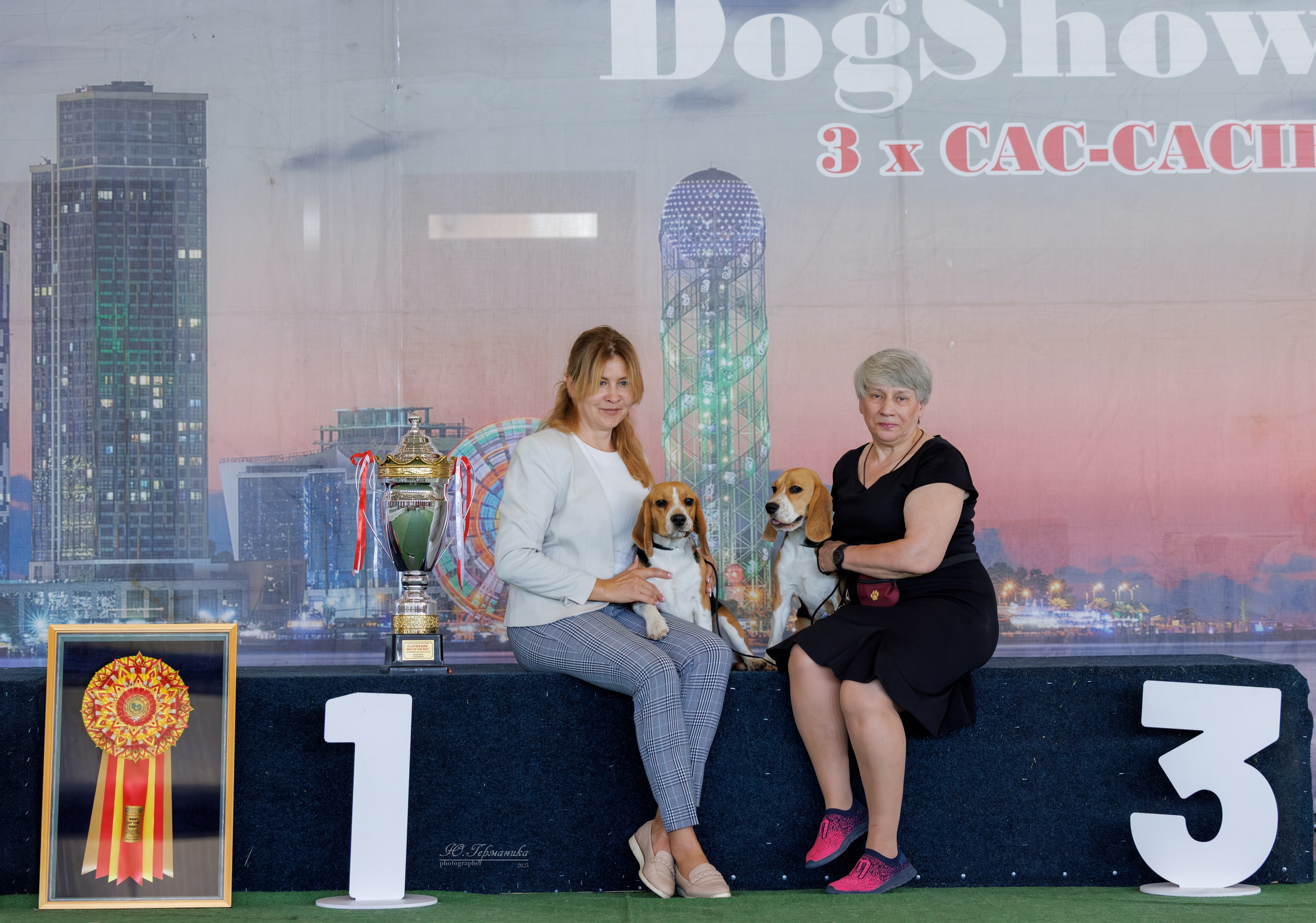 Батуми 3хCACIB 27-29.06.2025. Фотограф-анималист Юлия Германика