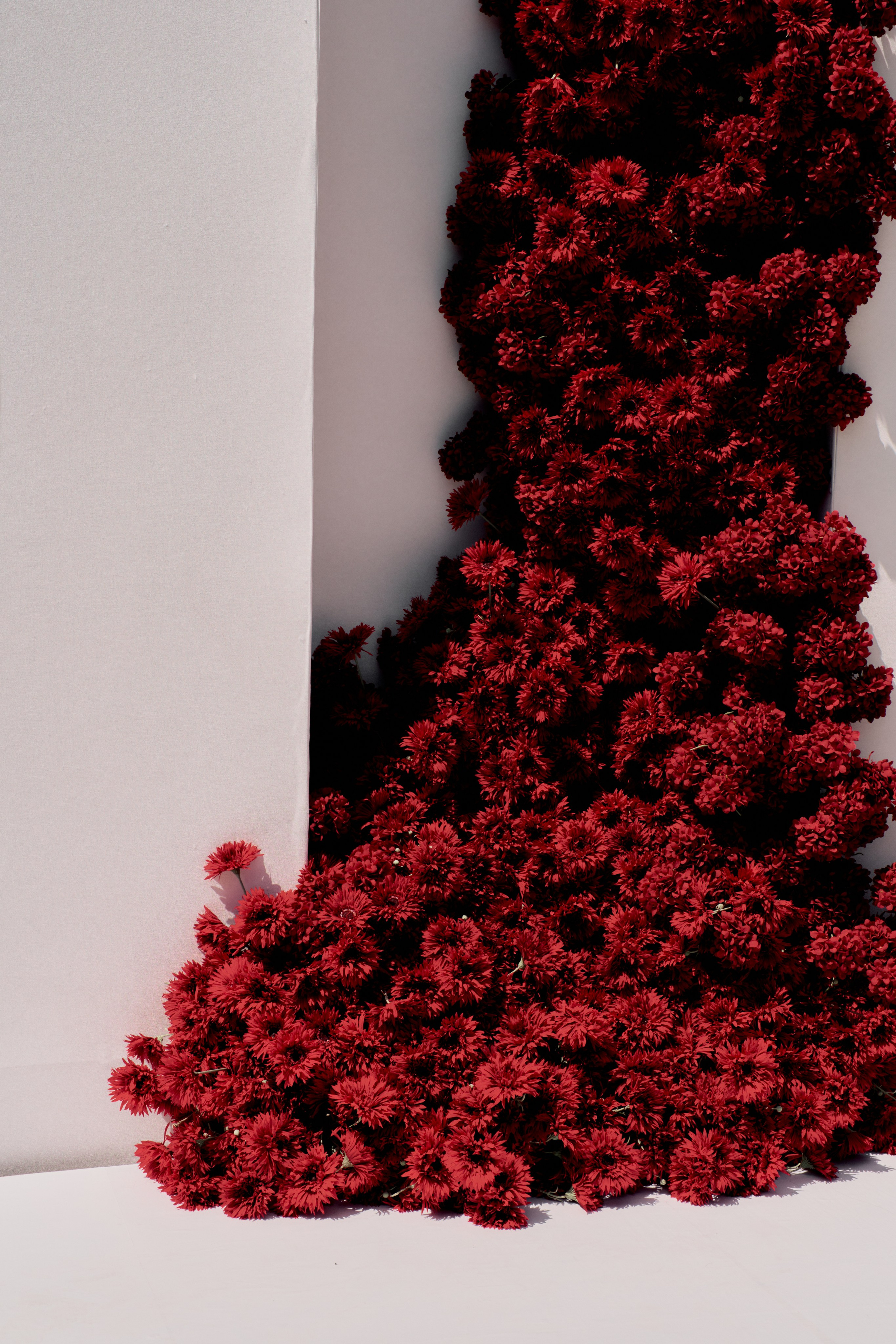 Мега и Зарема. Фотограф ALINA DZHIDZALOVA