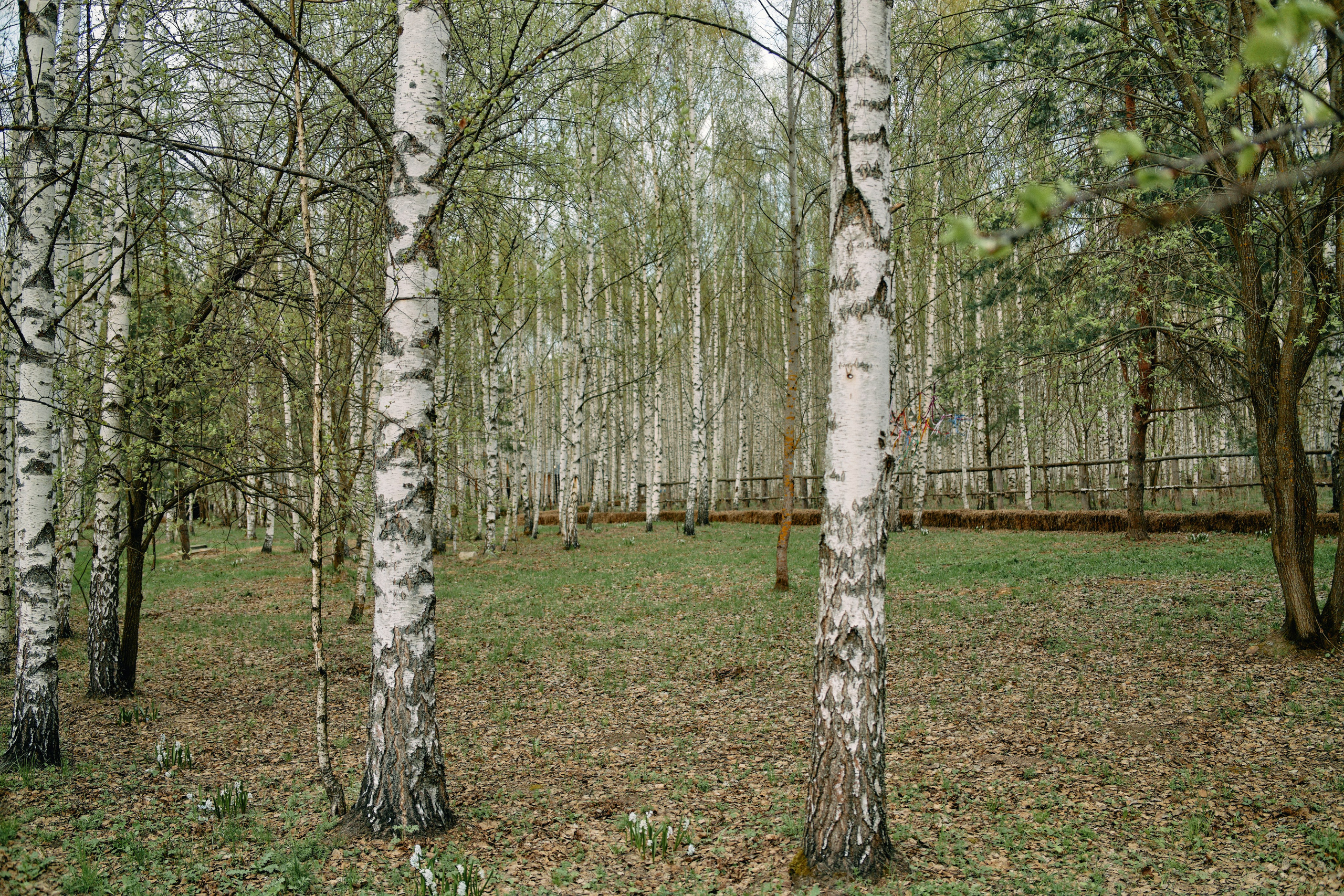 Бутик-отель Поле летом. Профессиональный Фотограф во Владимире, в Москве и в Суздале — Полина Романычева