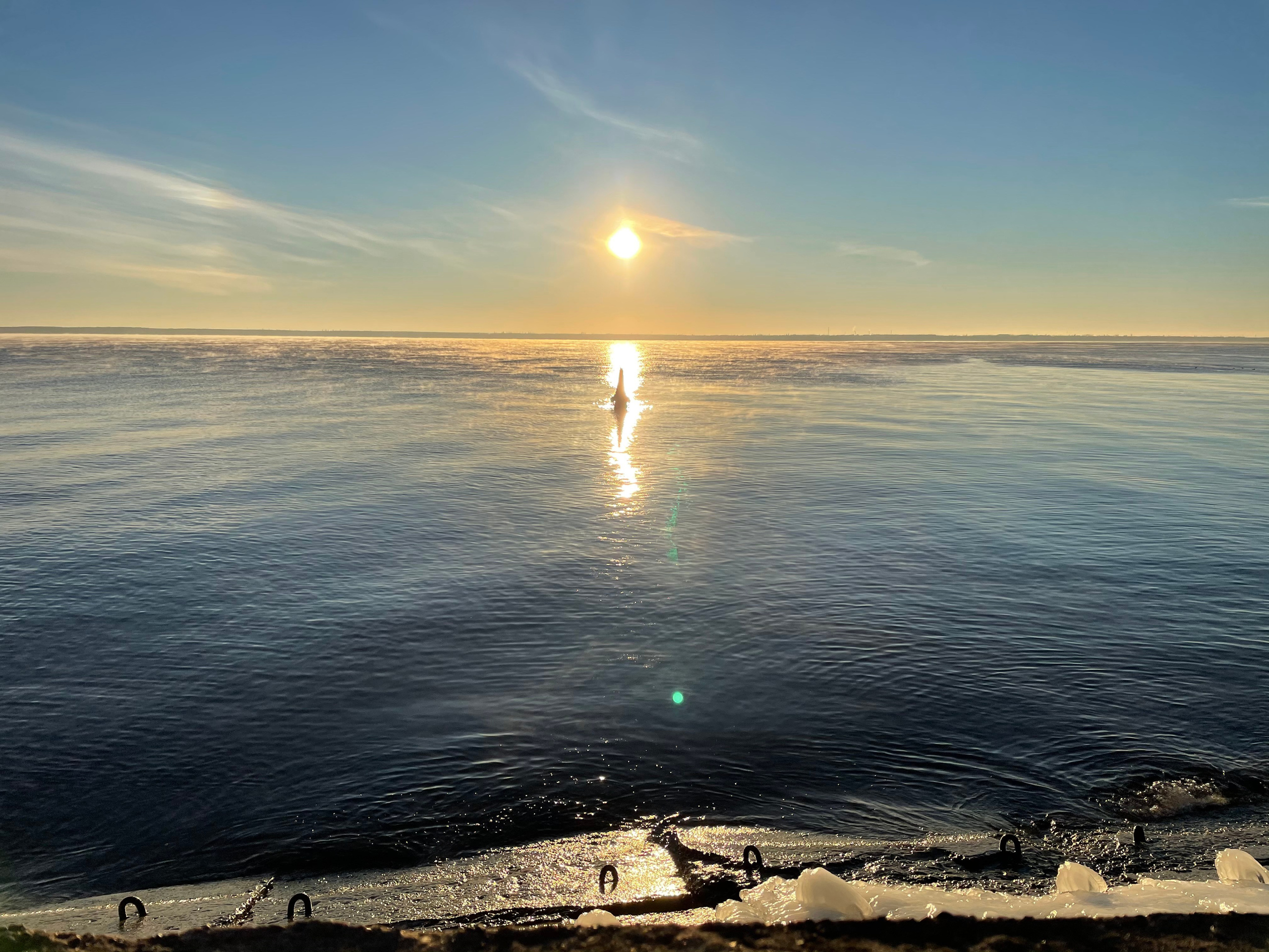 60 102 Картина. ВИЗУАЛЬНЫЕ И ЗВУКОВЫЕ РЕШЕНИЯ ДЛЯ БИЗНЕСА И СЪЁМОК ТЕЛЕТЕЛА