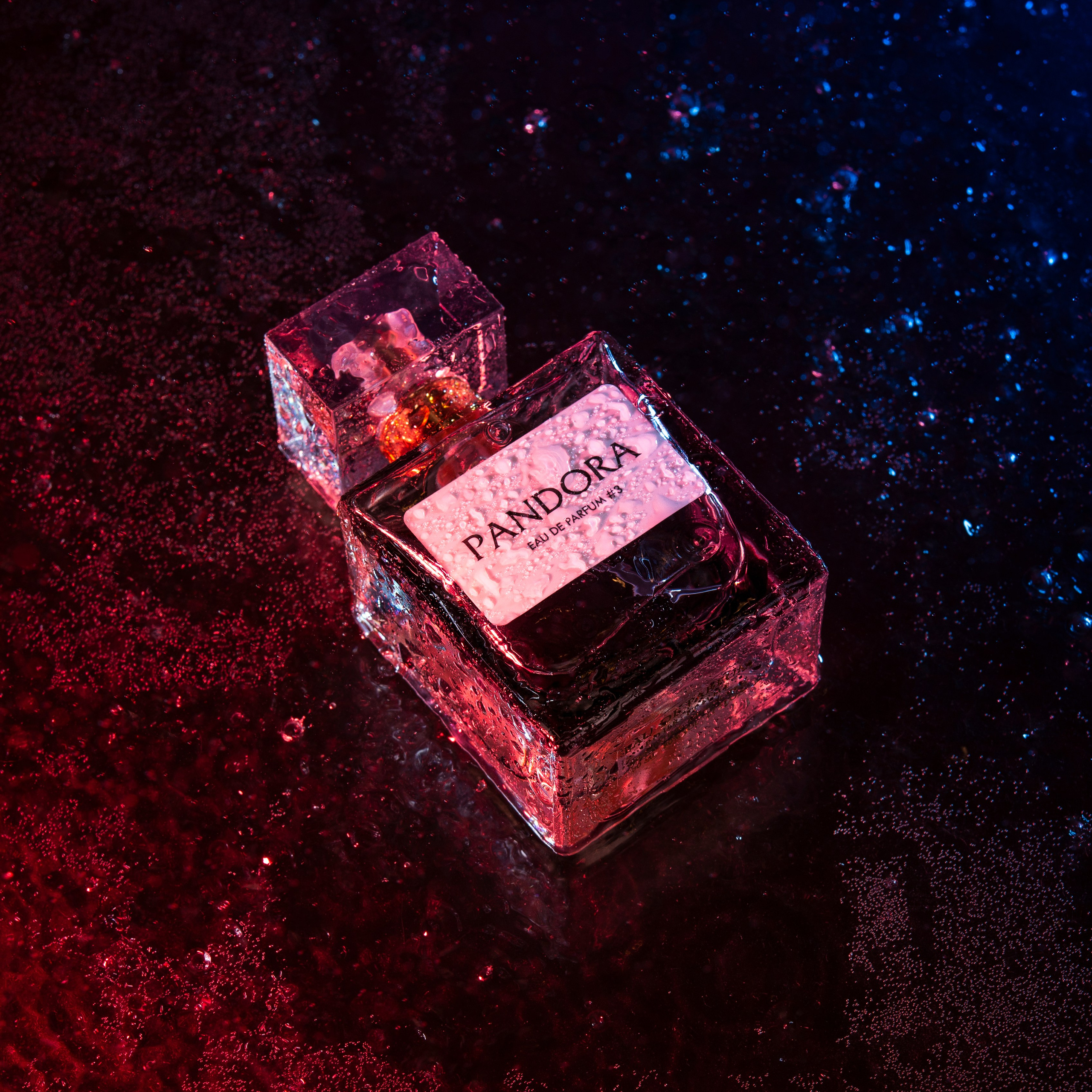 Композиция. Фотограф Наталья Михалина