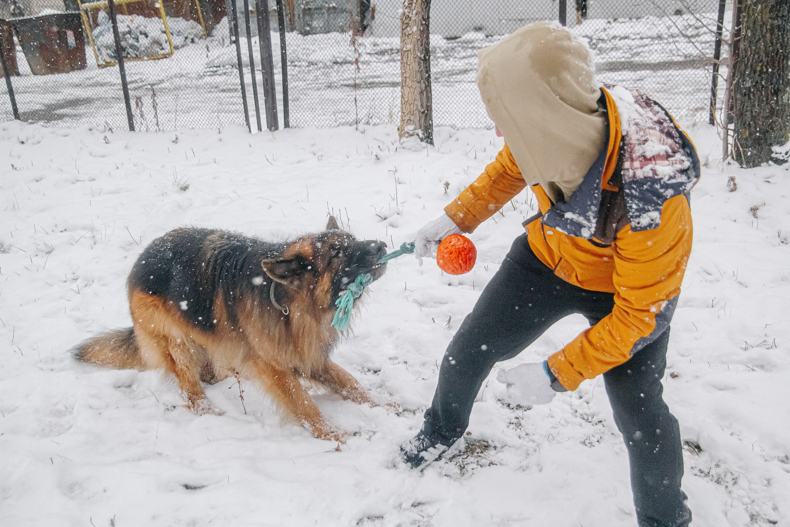 Первый снег 24. Фотограф в Хабаровске Юлия Чванова